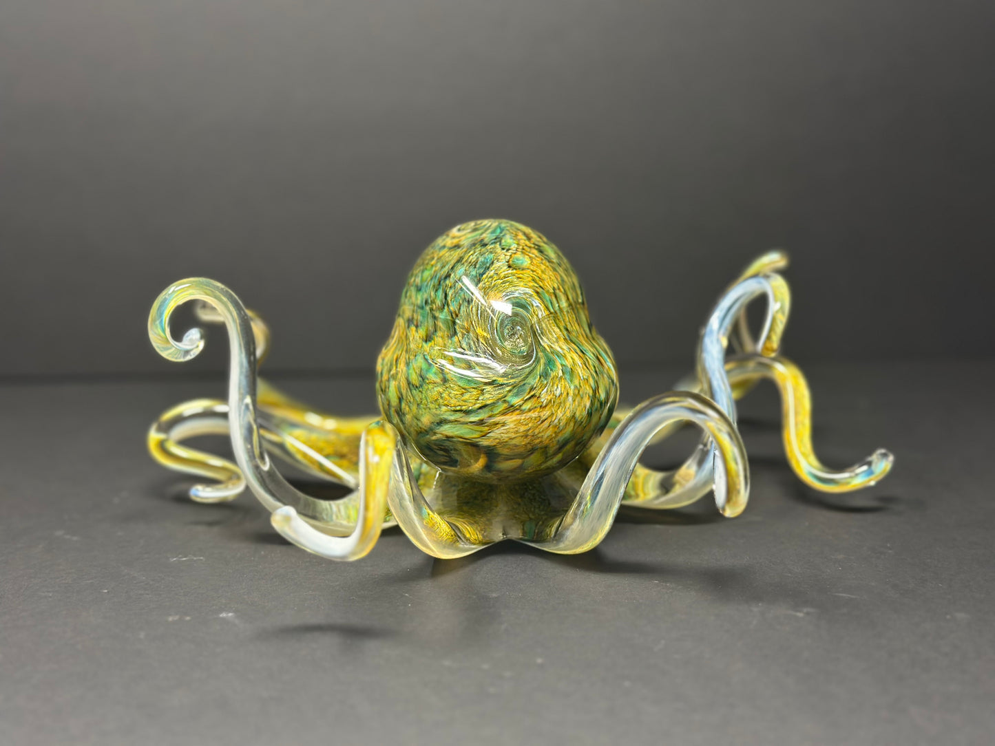 Earth Tones Octopus