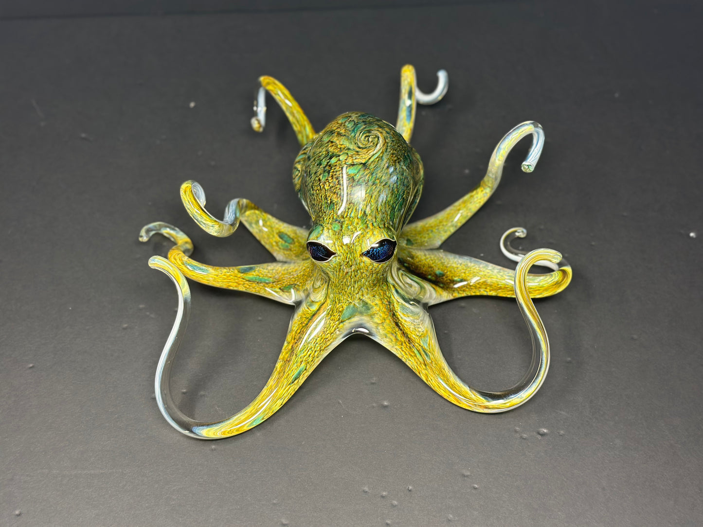Earth Tones Octopus