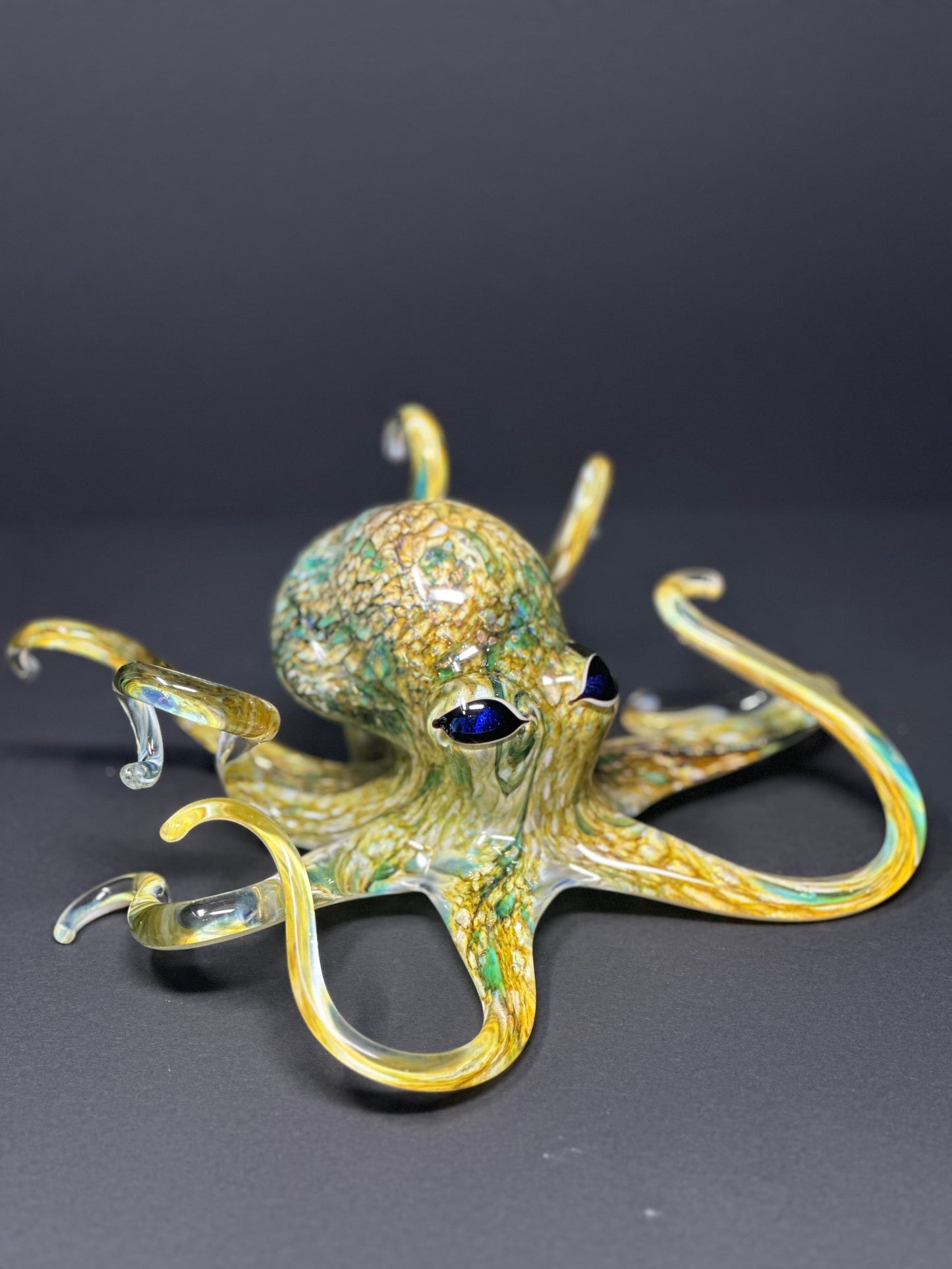 Earth Tones Octopus