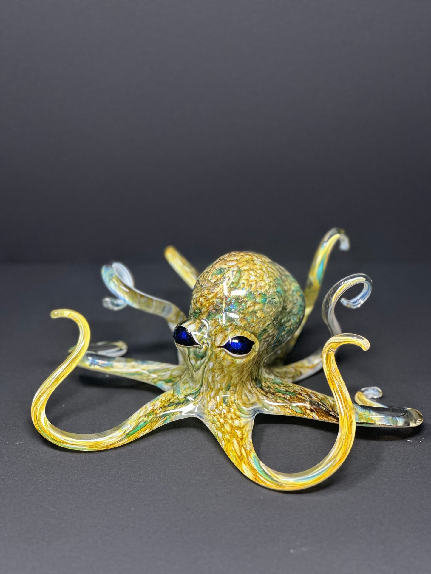 Earth Tones Octopus