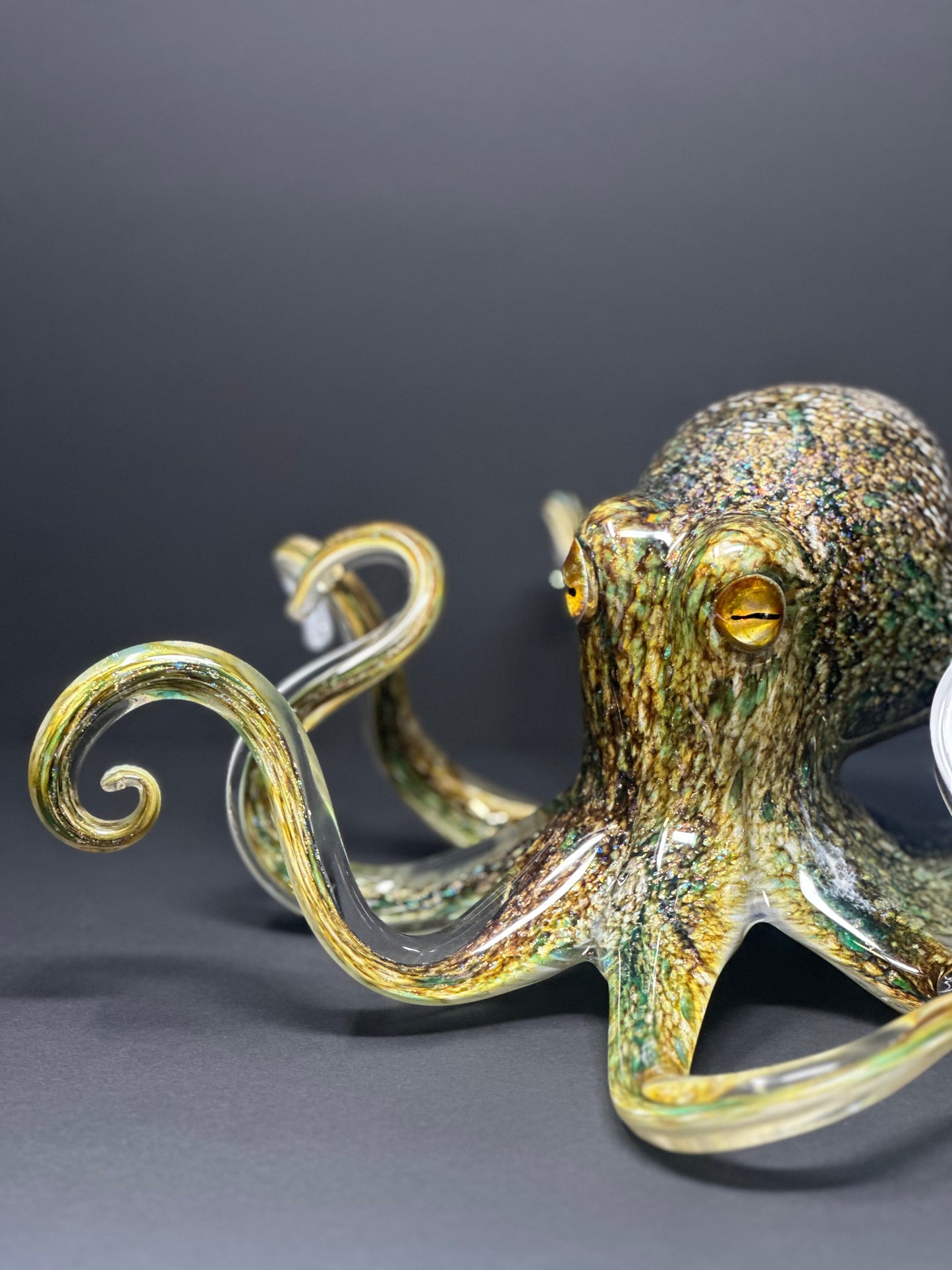 Earth Tones Octopus