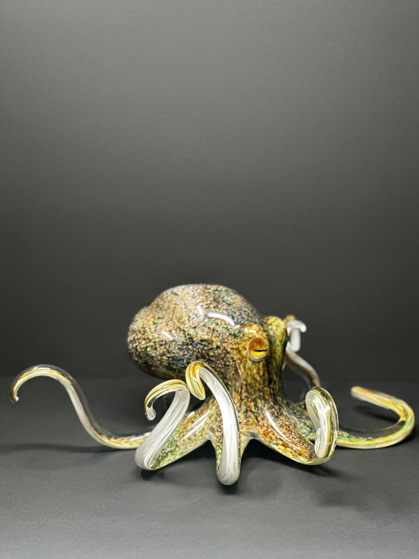 Earth Tones Octopus