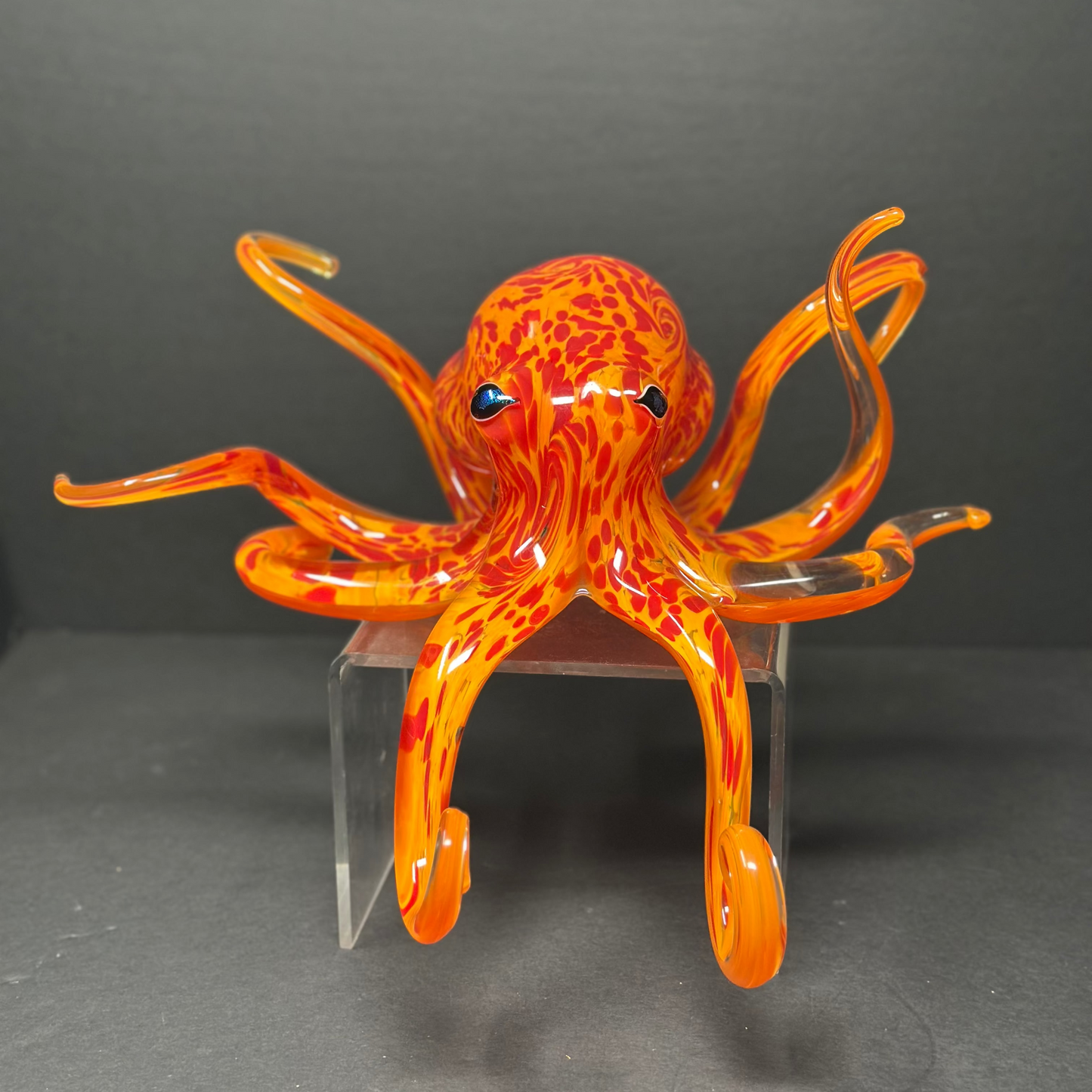 Geranium Orange Octopus