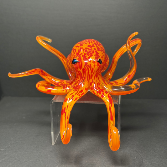 Geranium Orange Octopus