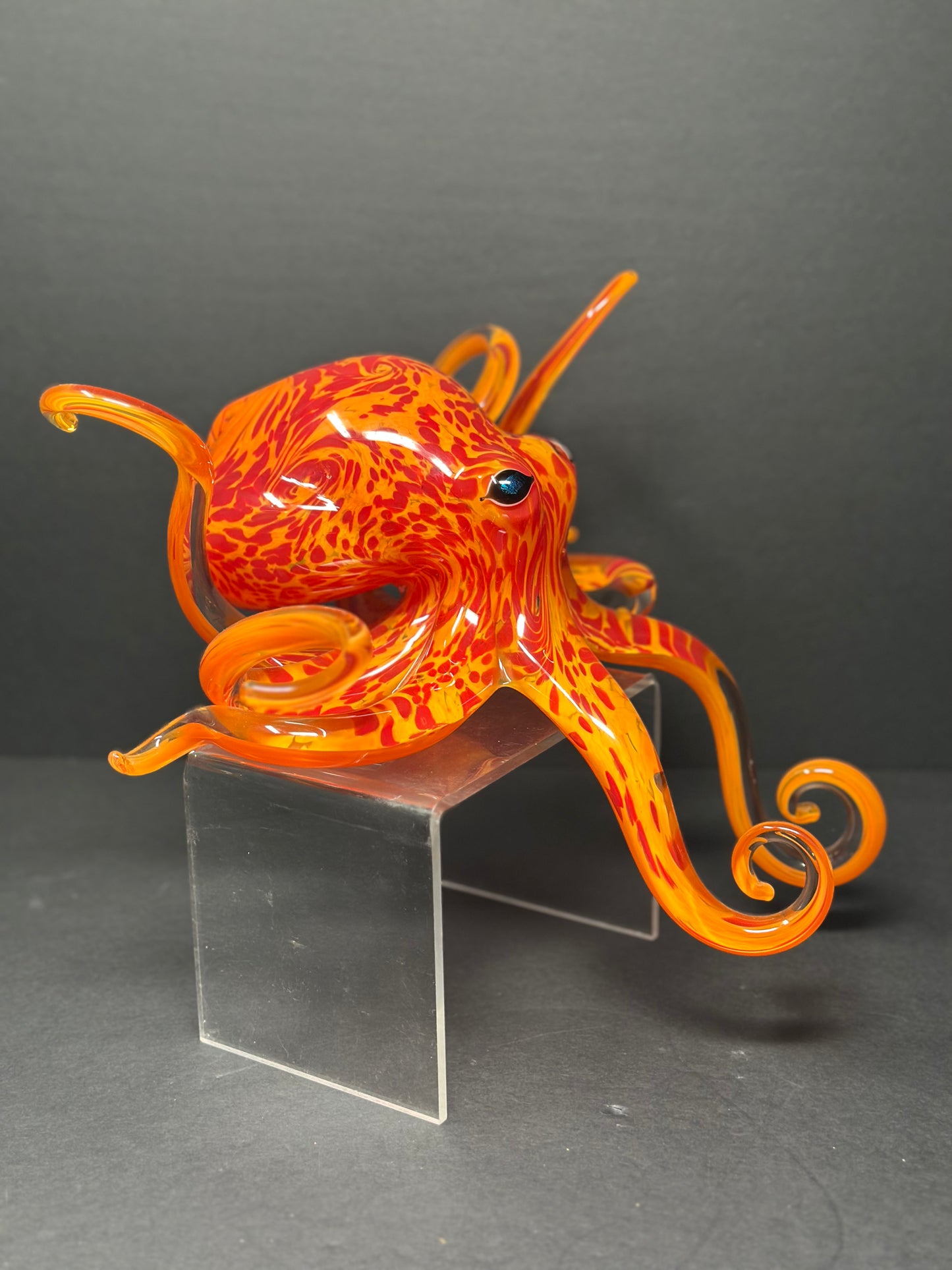 Geranium Orange Octopus