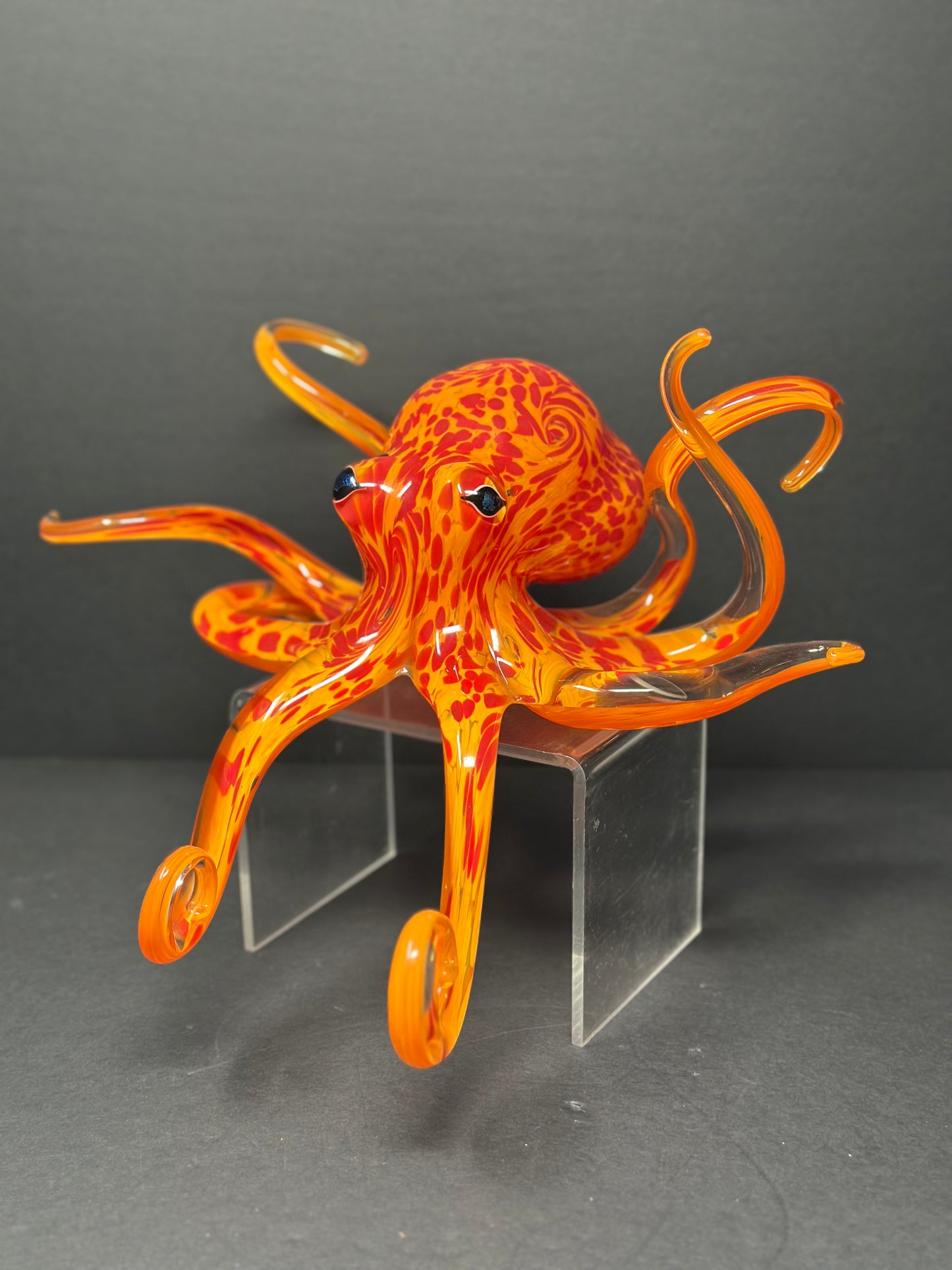 Geranium Orange Octopus
