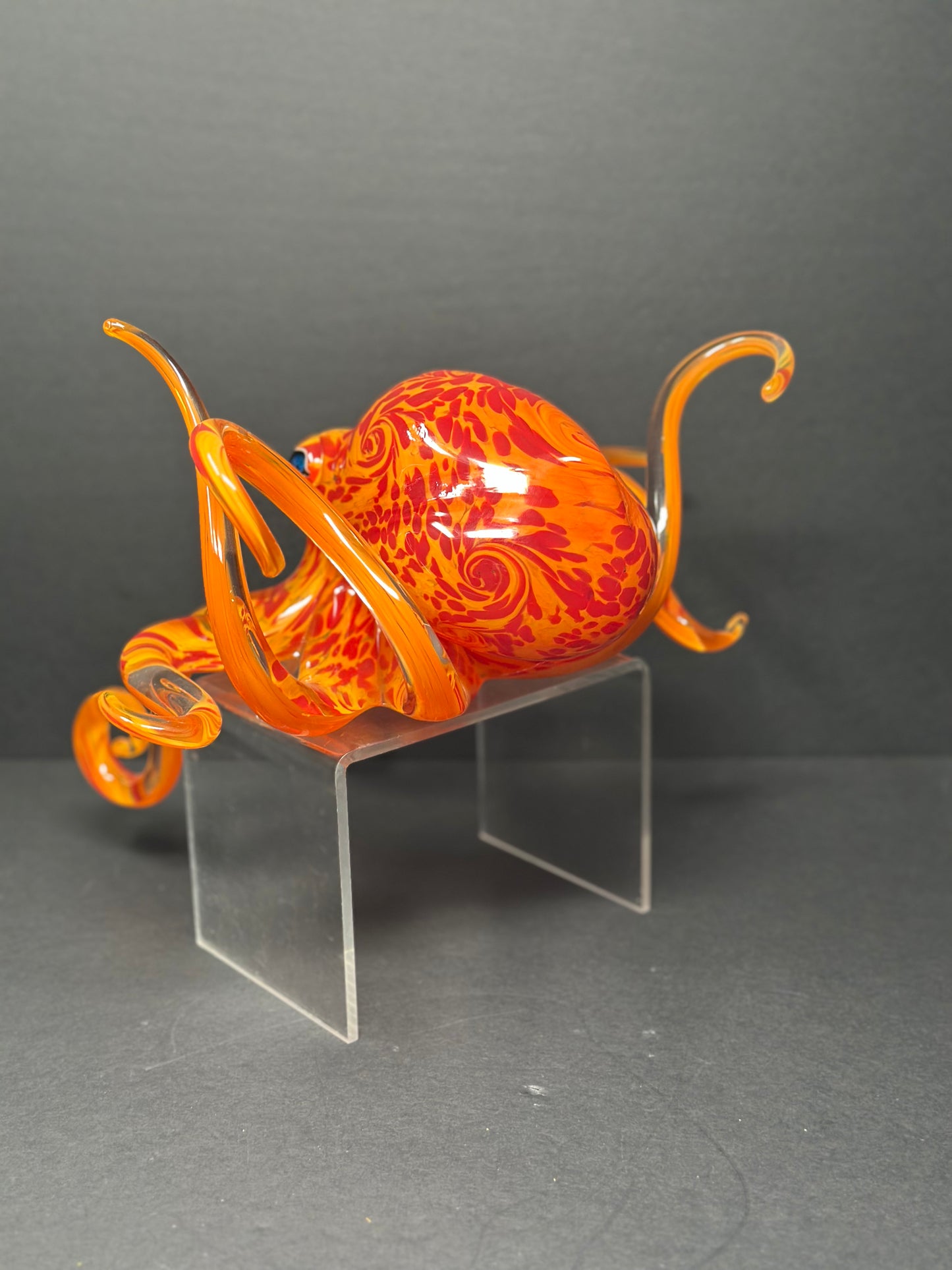 Geranium Orange Octopus