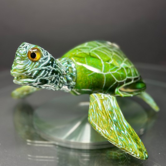 Green Sea Turtle