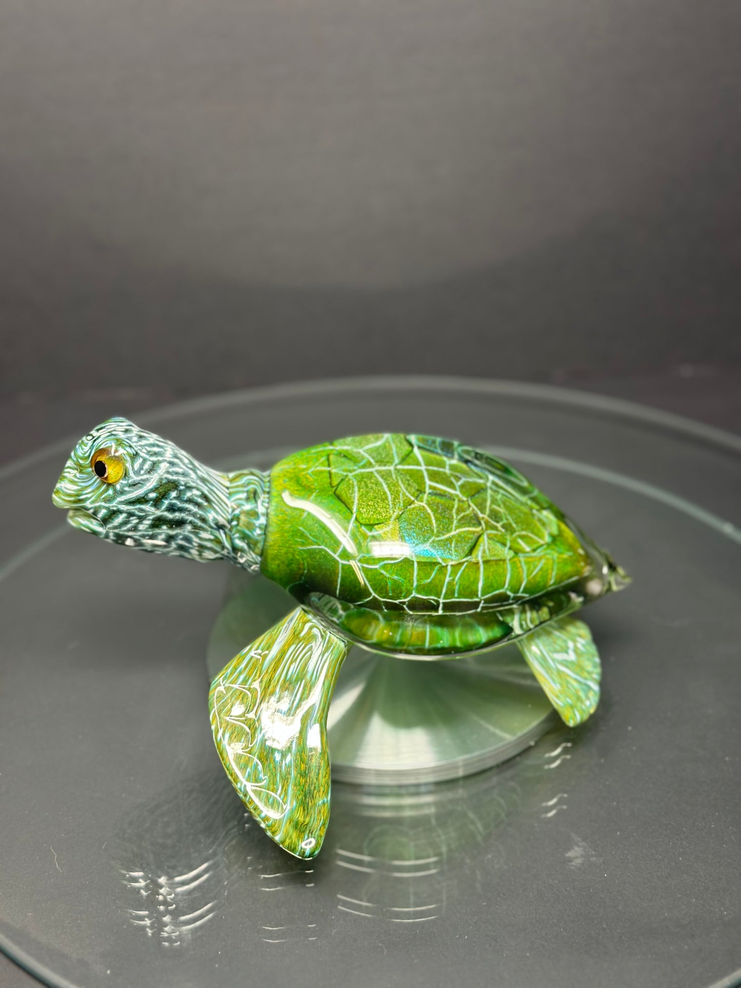 Green Sea Turtle