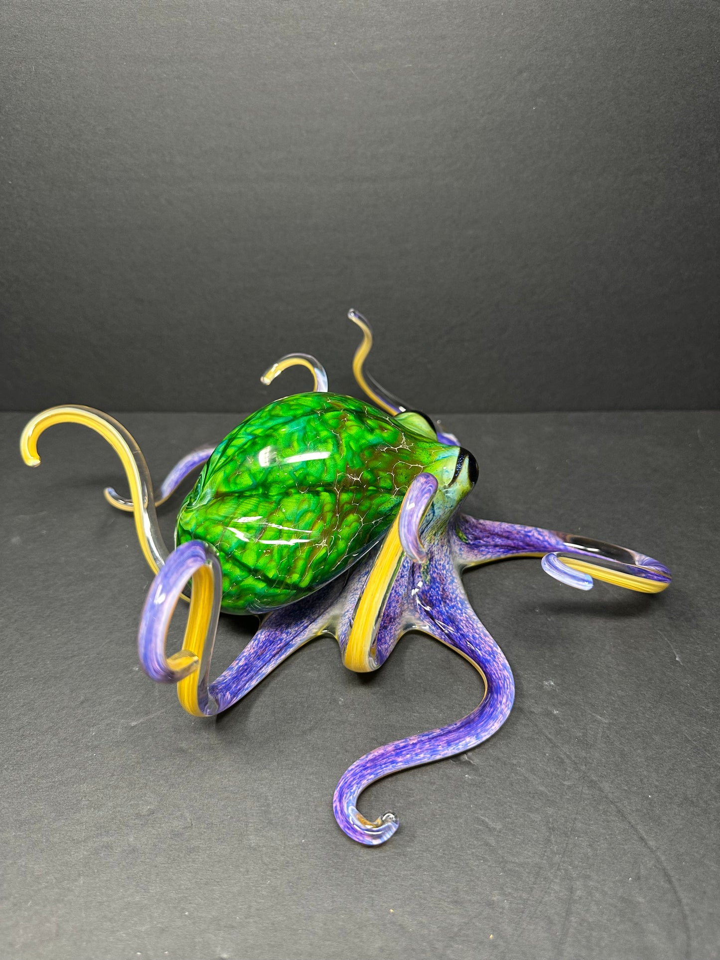 Green Violet Octopus