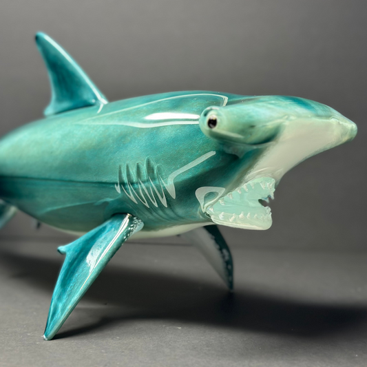 Hammerhead Shark