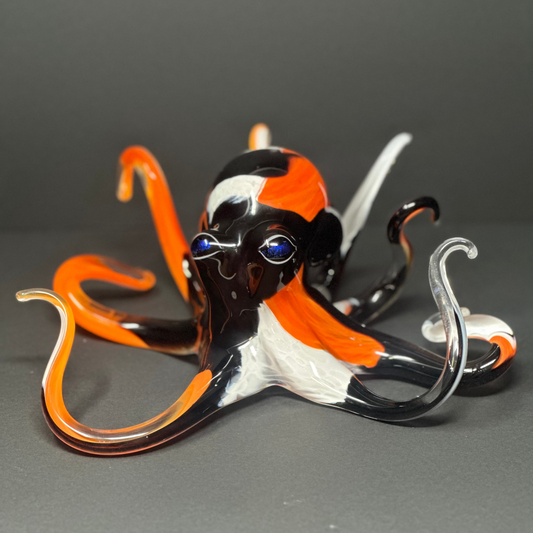 Koi Octopus