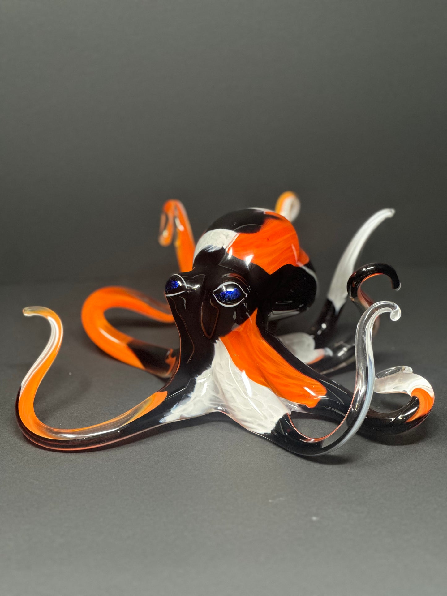 Koi Octopus
