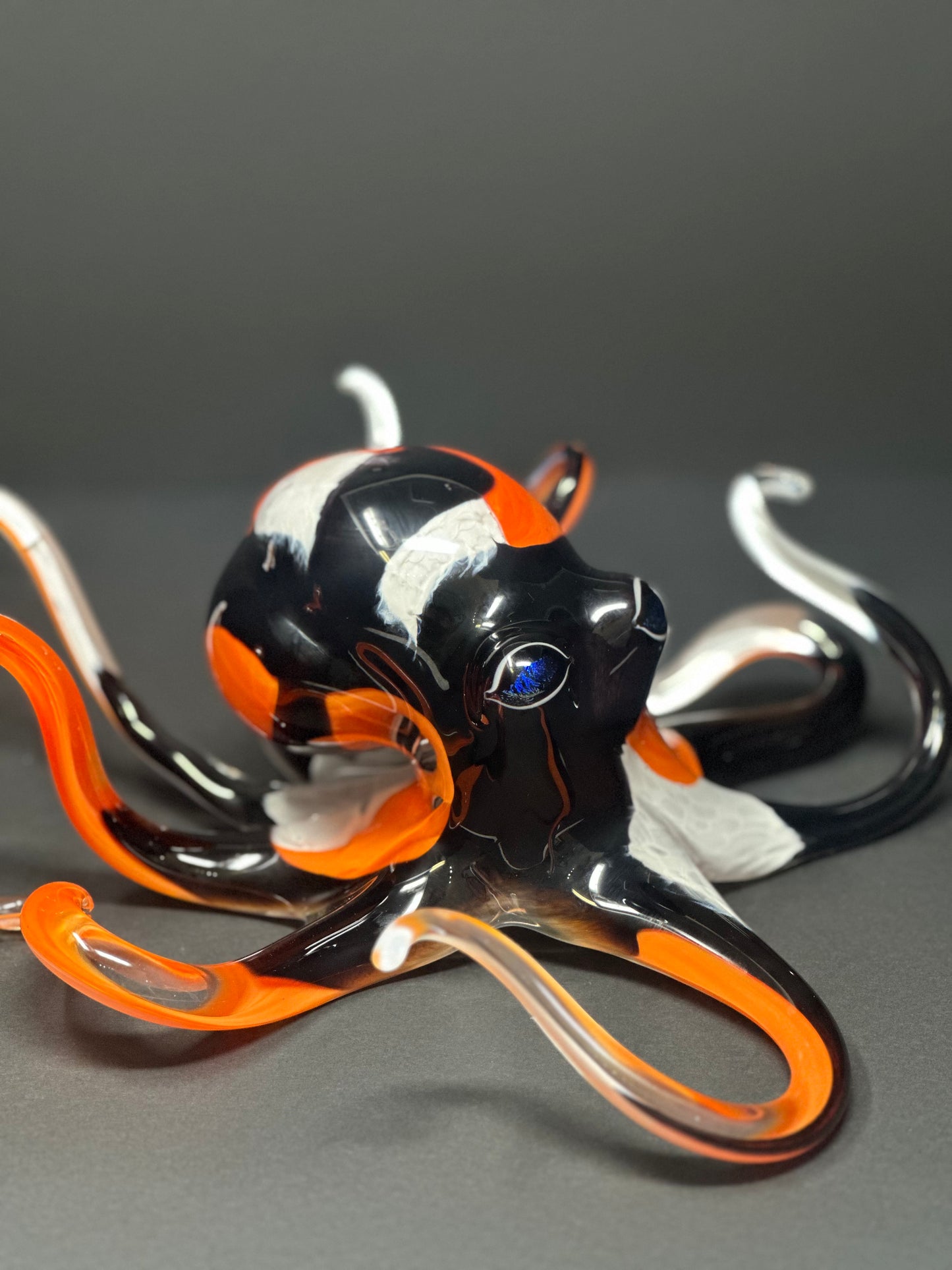 Koi Octopus
