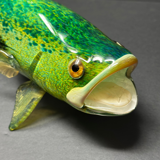 Large Mouth Bass