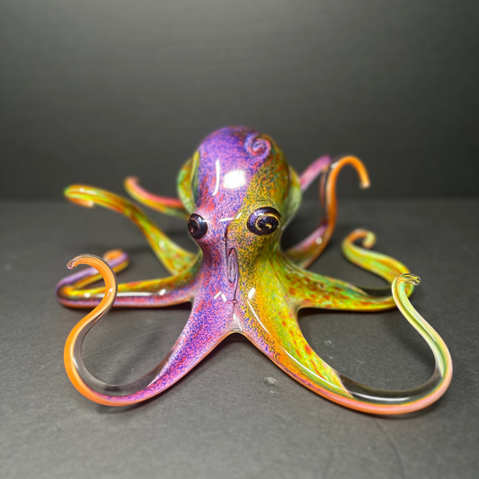 Multicolored Octopus