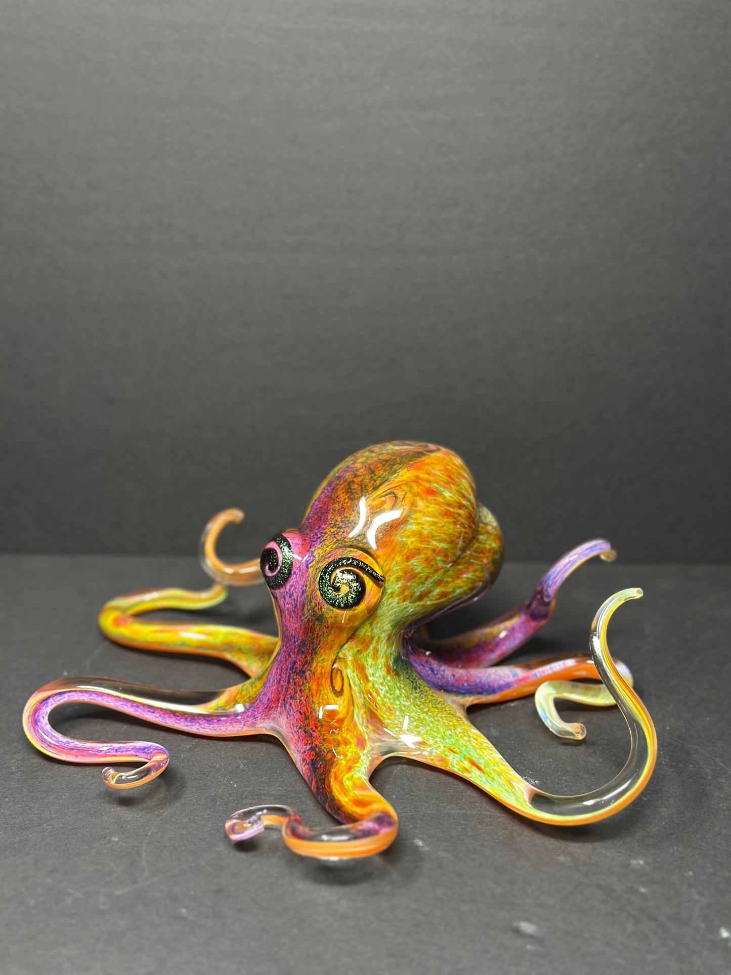 Multicolored Octopus