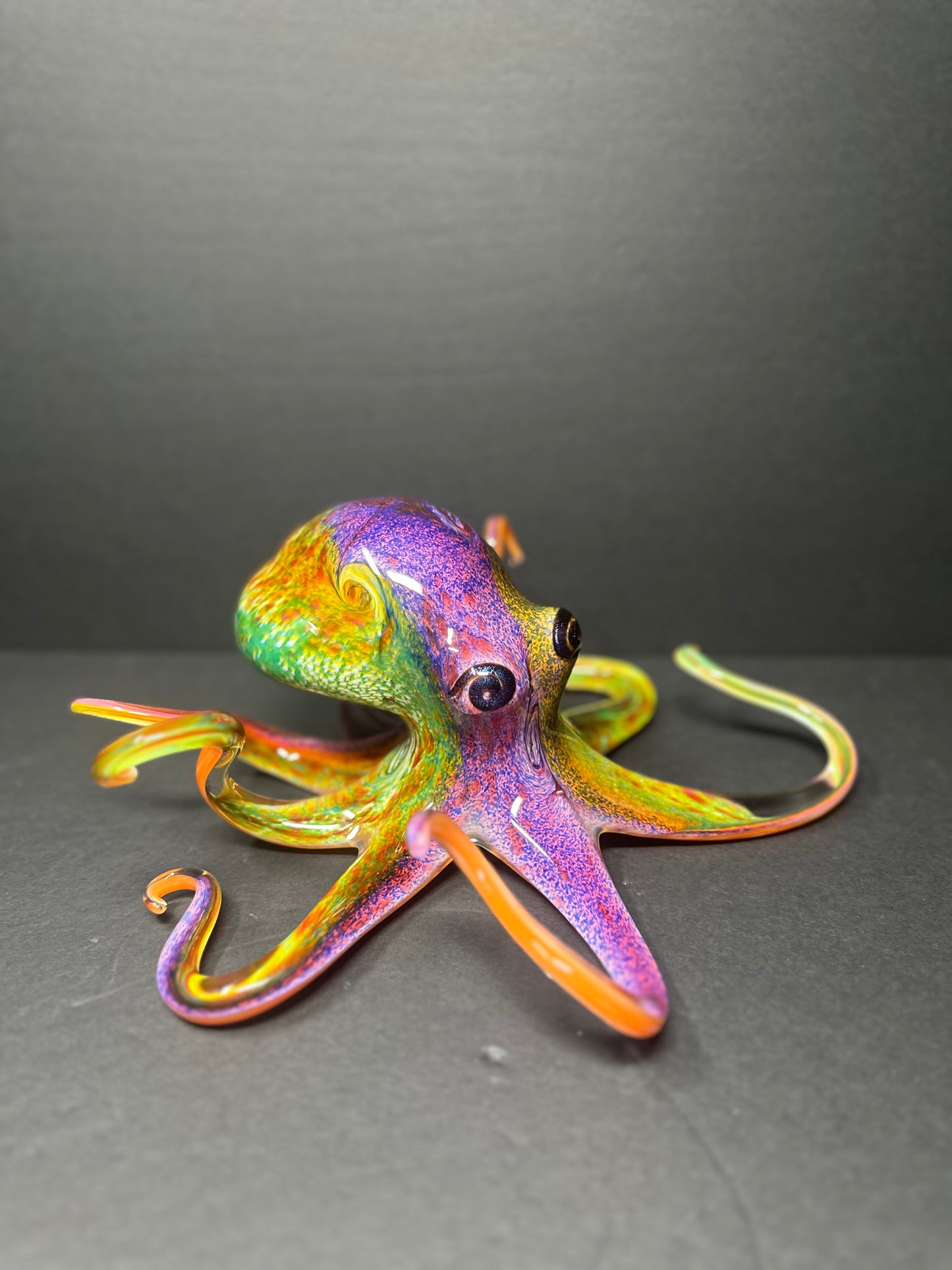 Multicolored Octopus