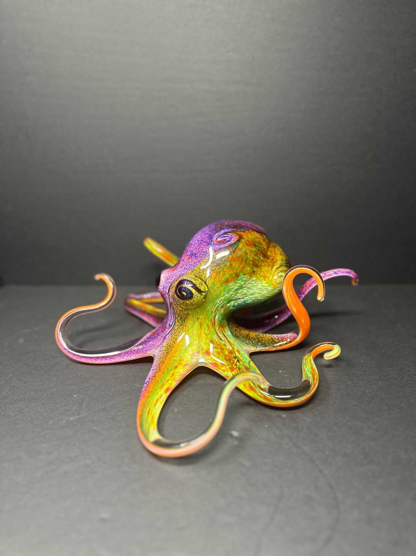 Multicolored Octopus