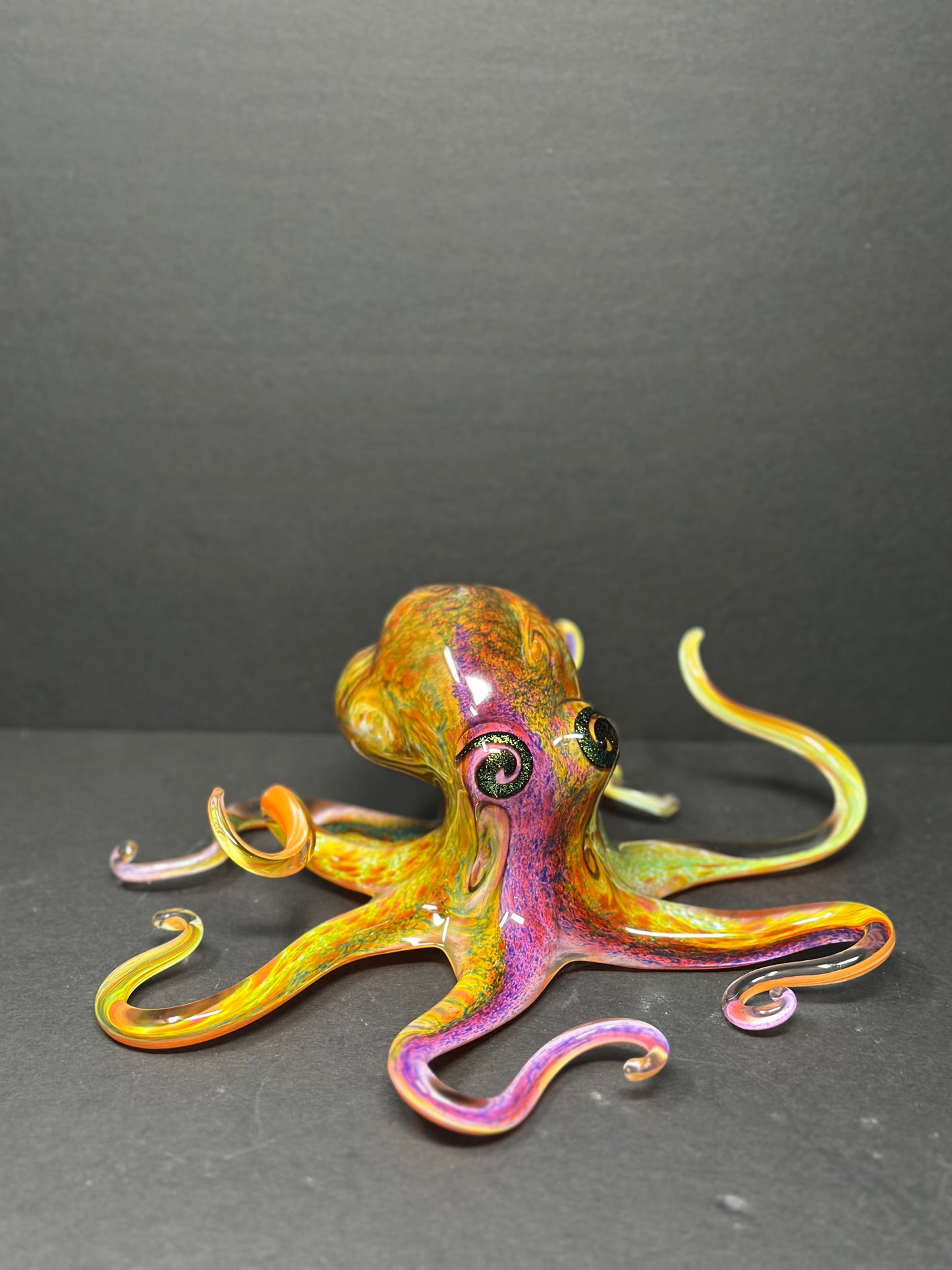 Multicolored Octopus