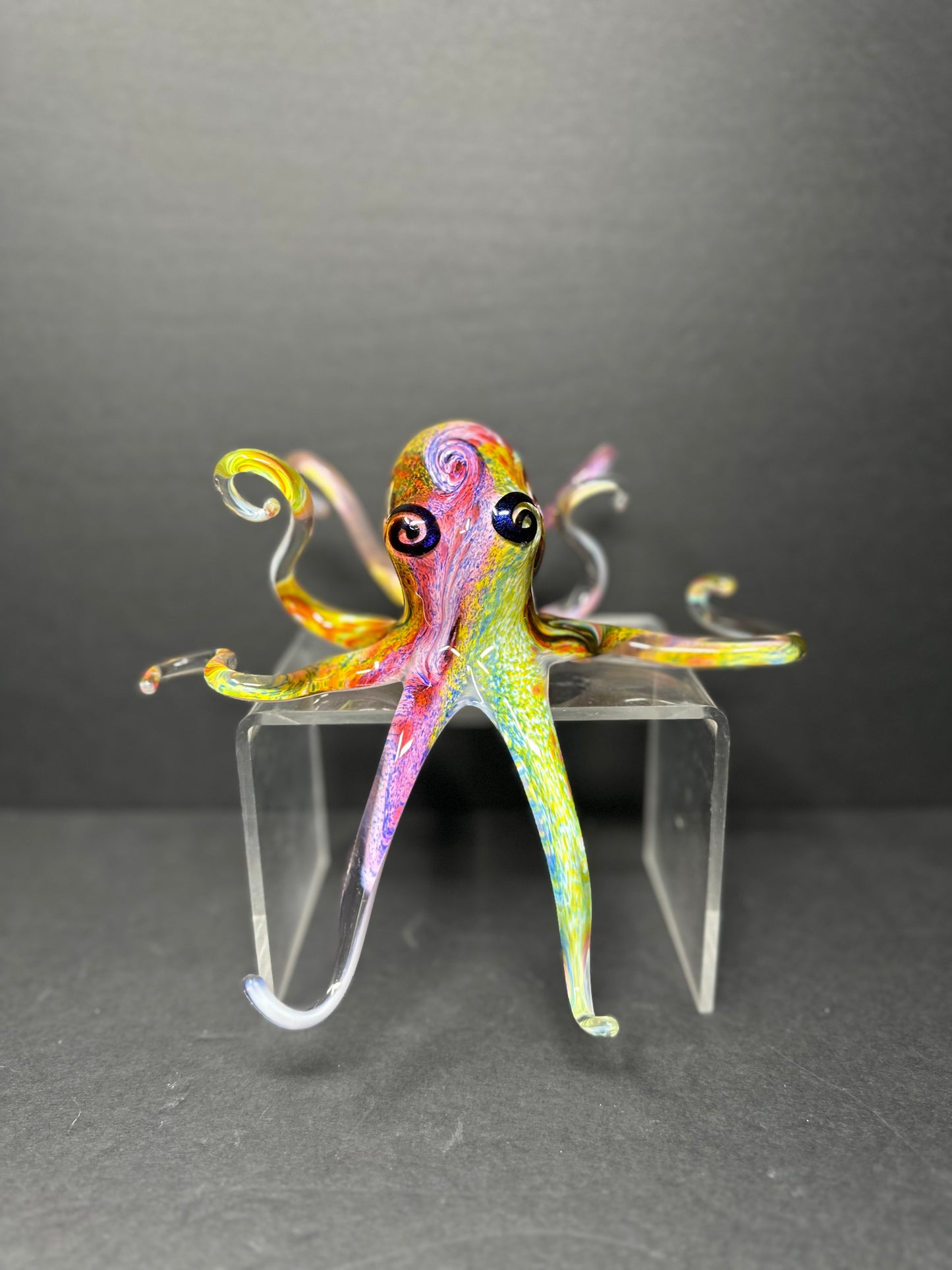 Multicolored Octopus