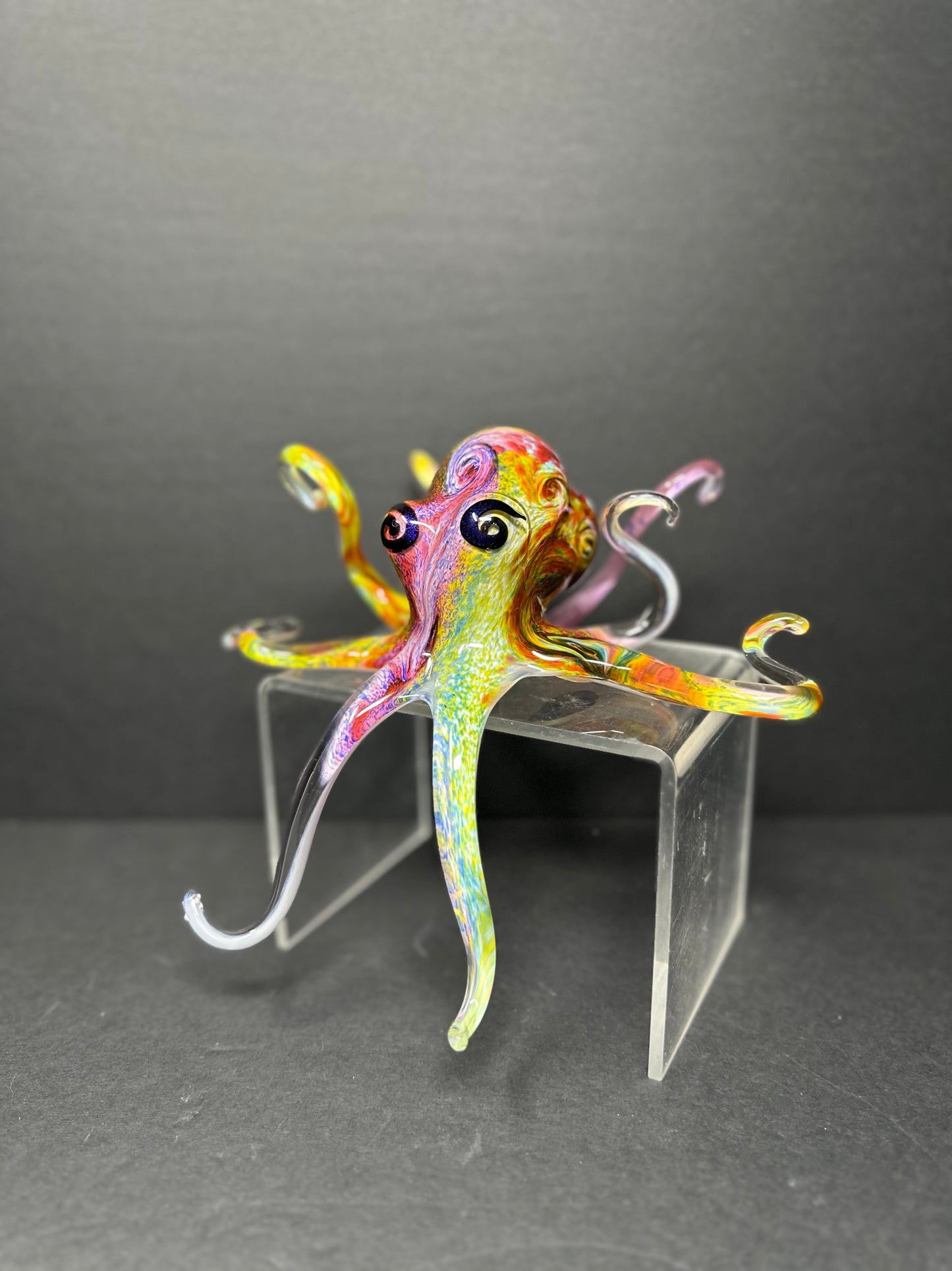 Multicolored Octopus
