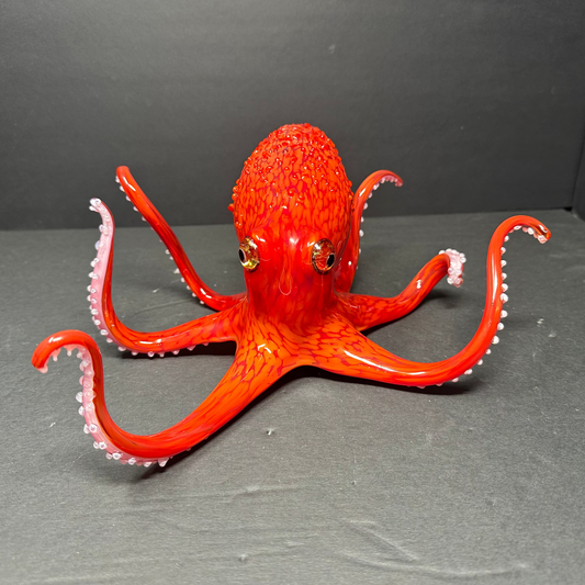 Pacific Red Octopus