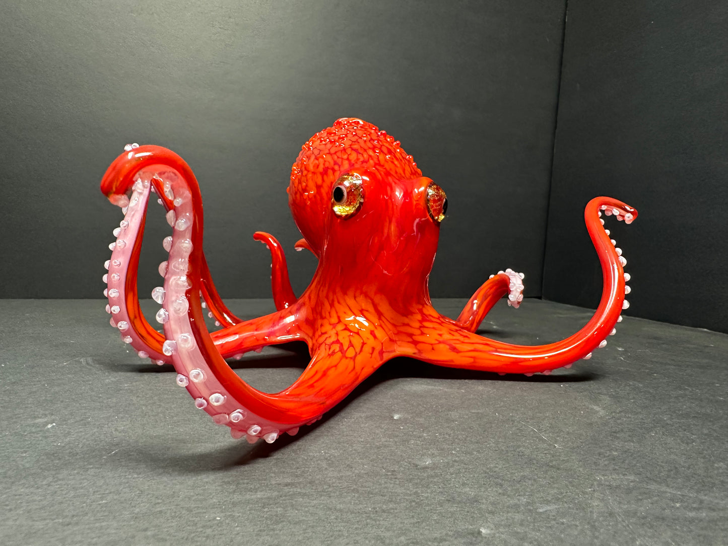 Pacific Red Octopus