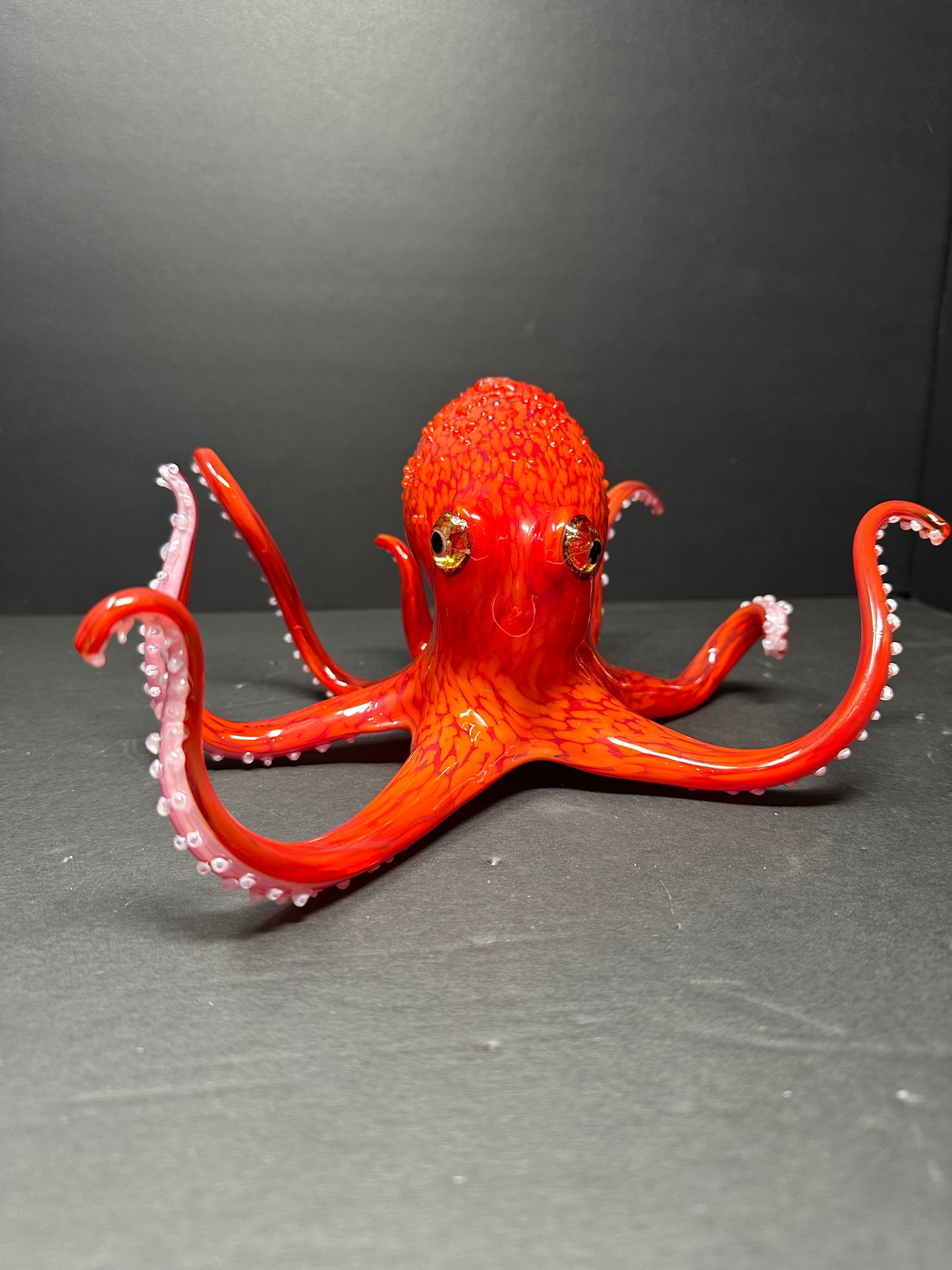 Pacific Red Octopus