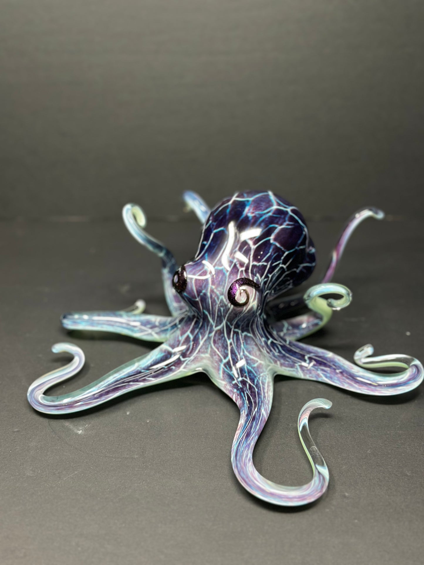 Purple Crackle Octopus
