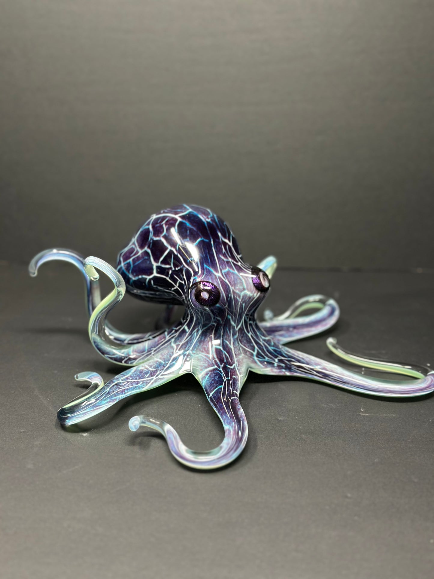 Purple Crackle Octopus