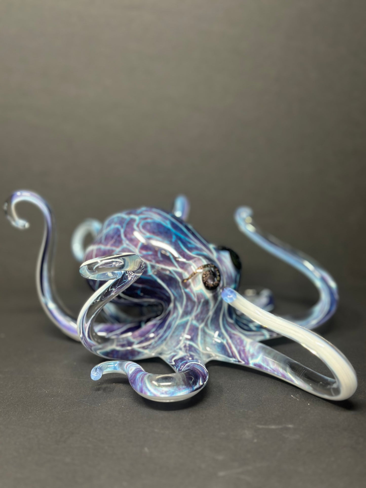 Purple Crackle Octopus