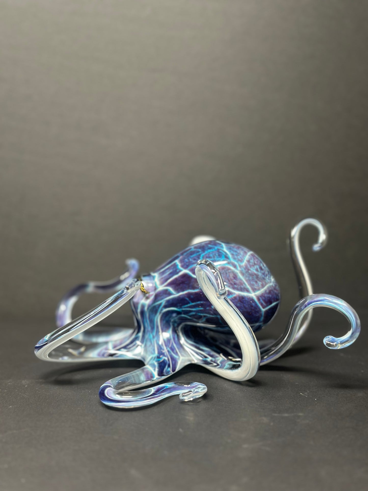 Purple Crackle Octopus