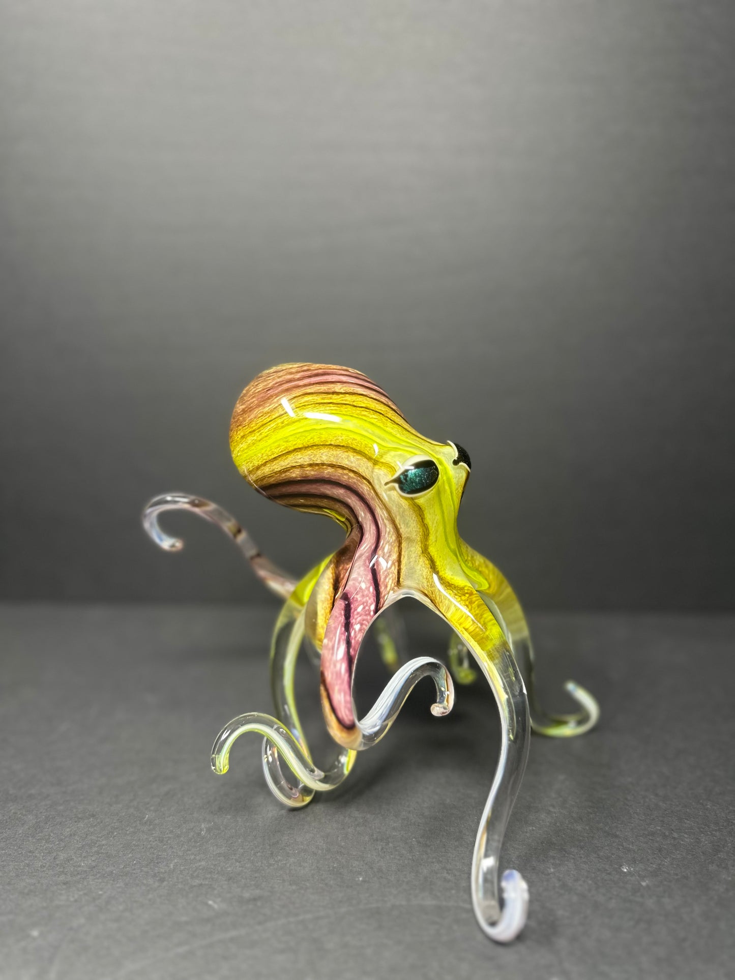 Walking Style Octopus