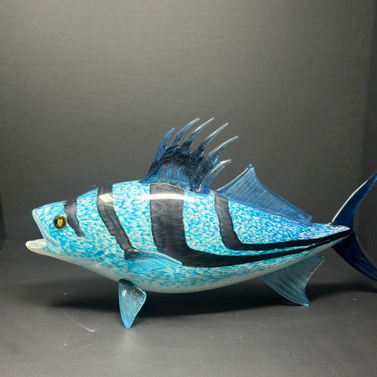 Rooster Fish