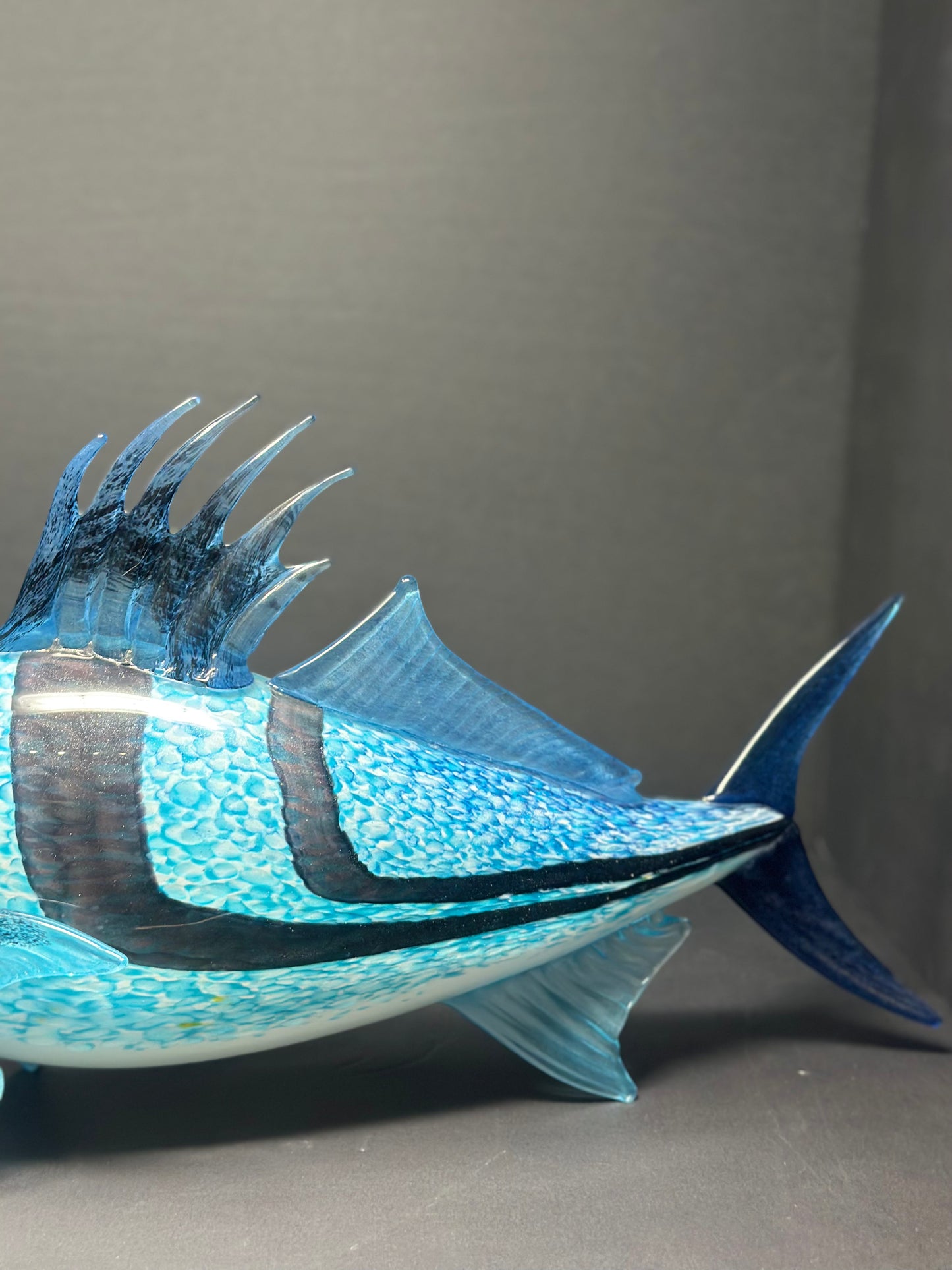 Rooster Fish