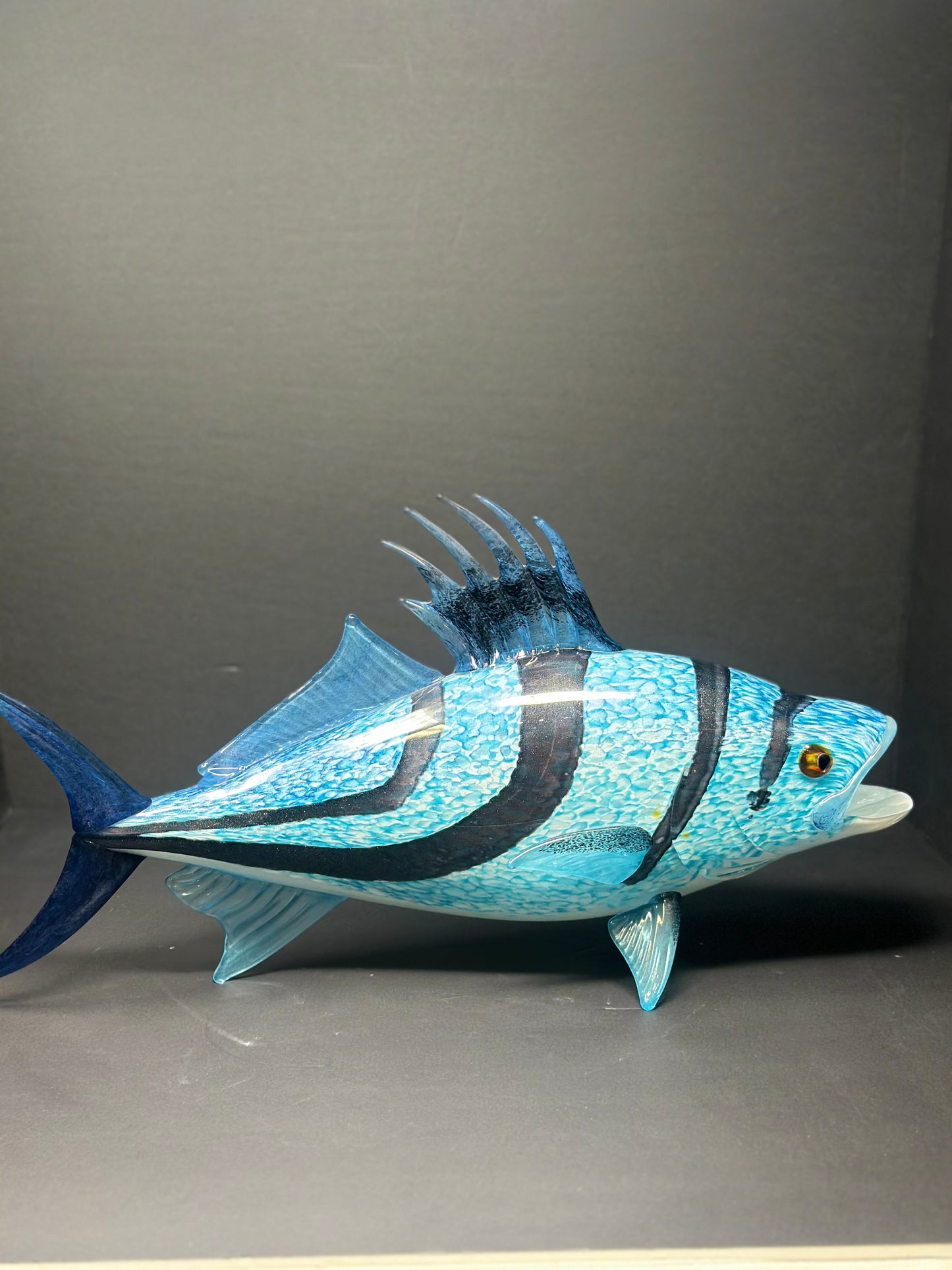 Rooster Fish