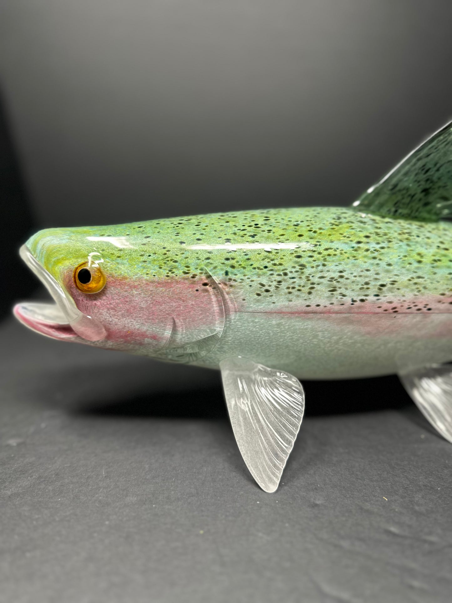 Steelhead