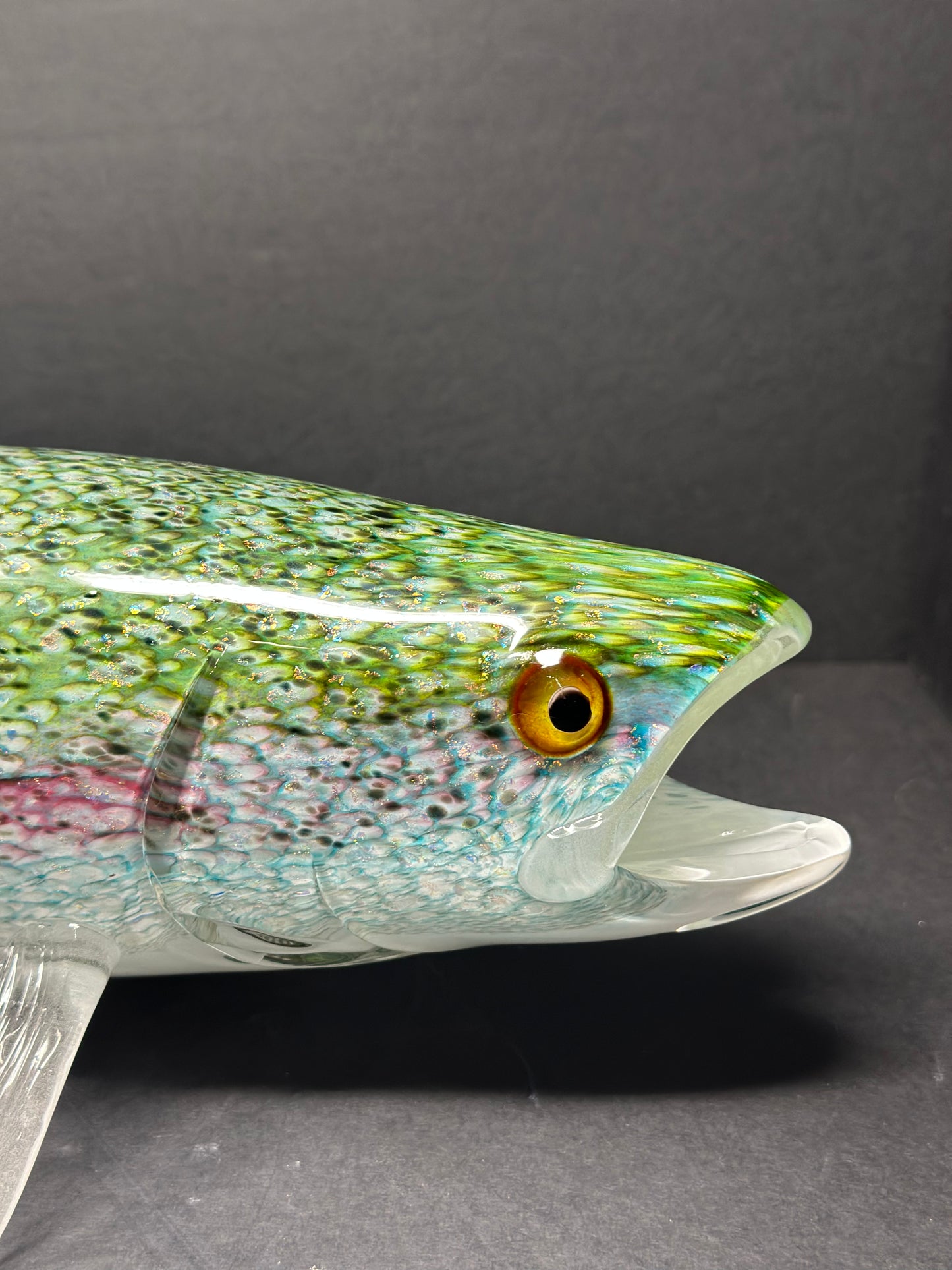 Steelhead