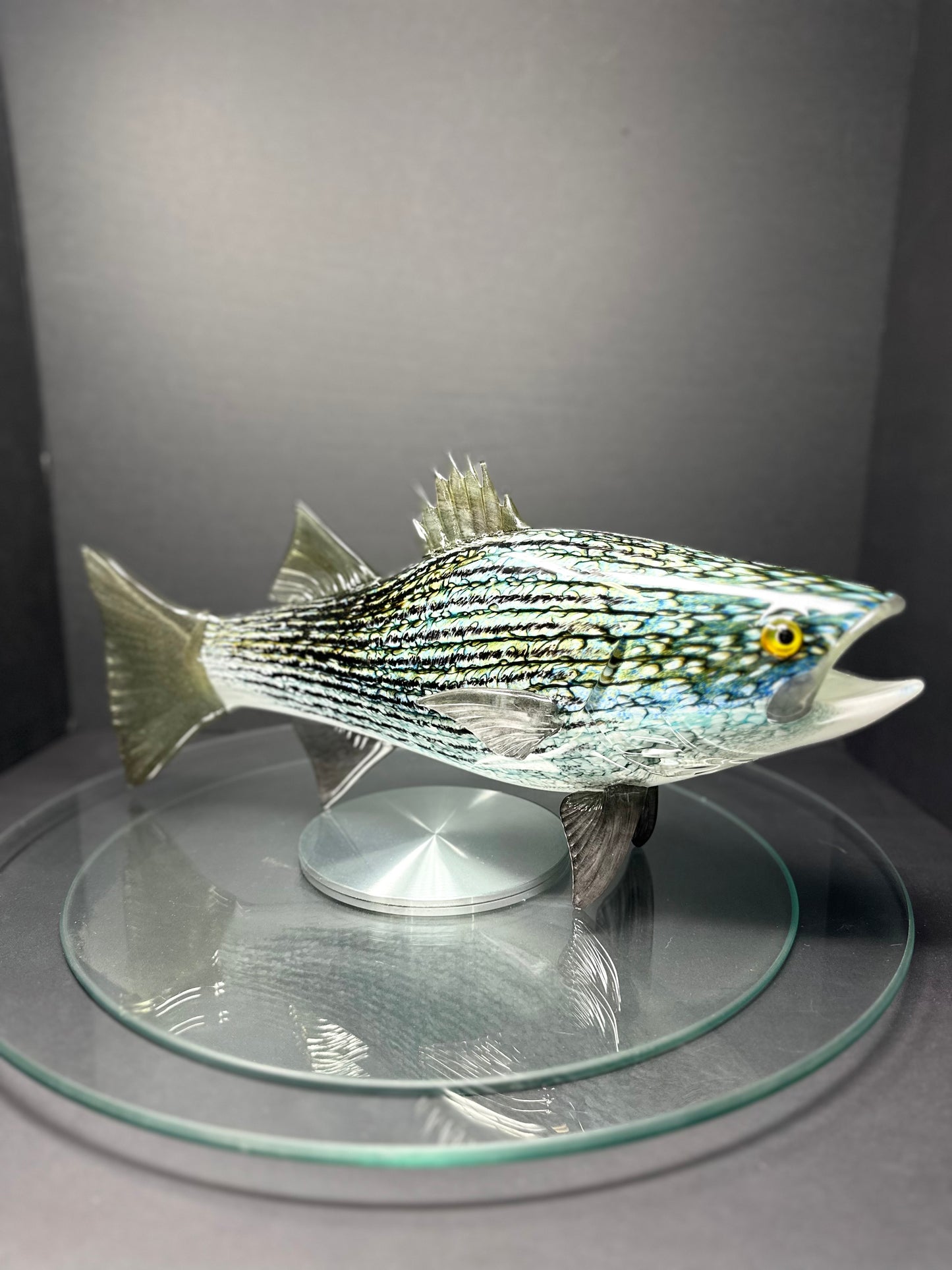Striped Bass