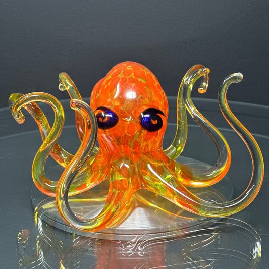 Sunburst Octopus