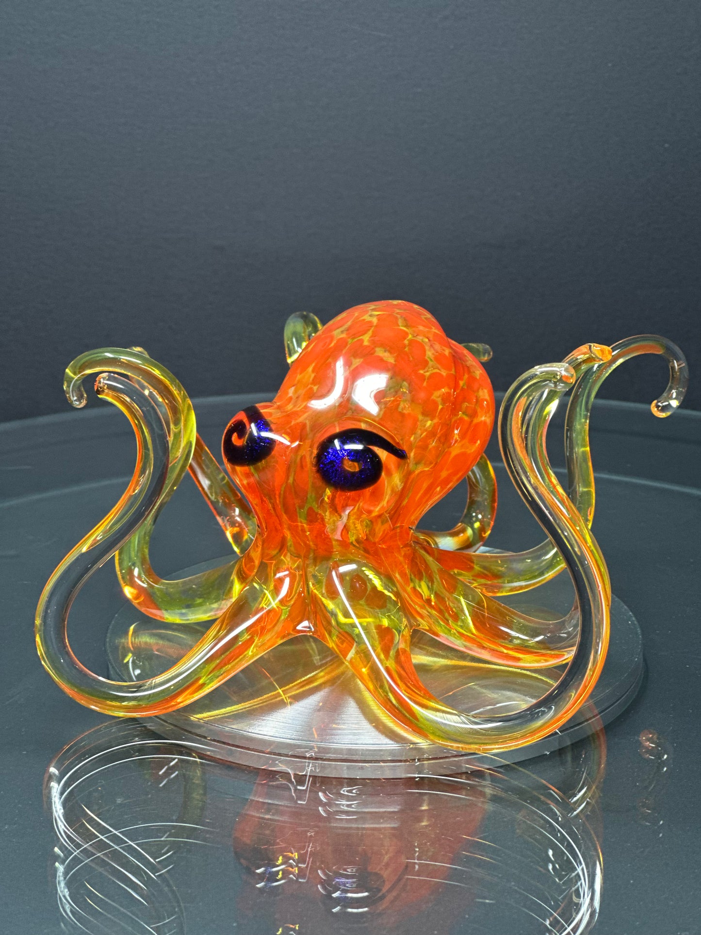 Sunburst Octopus