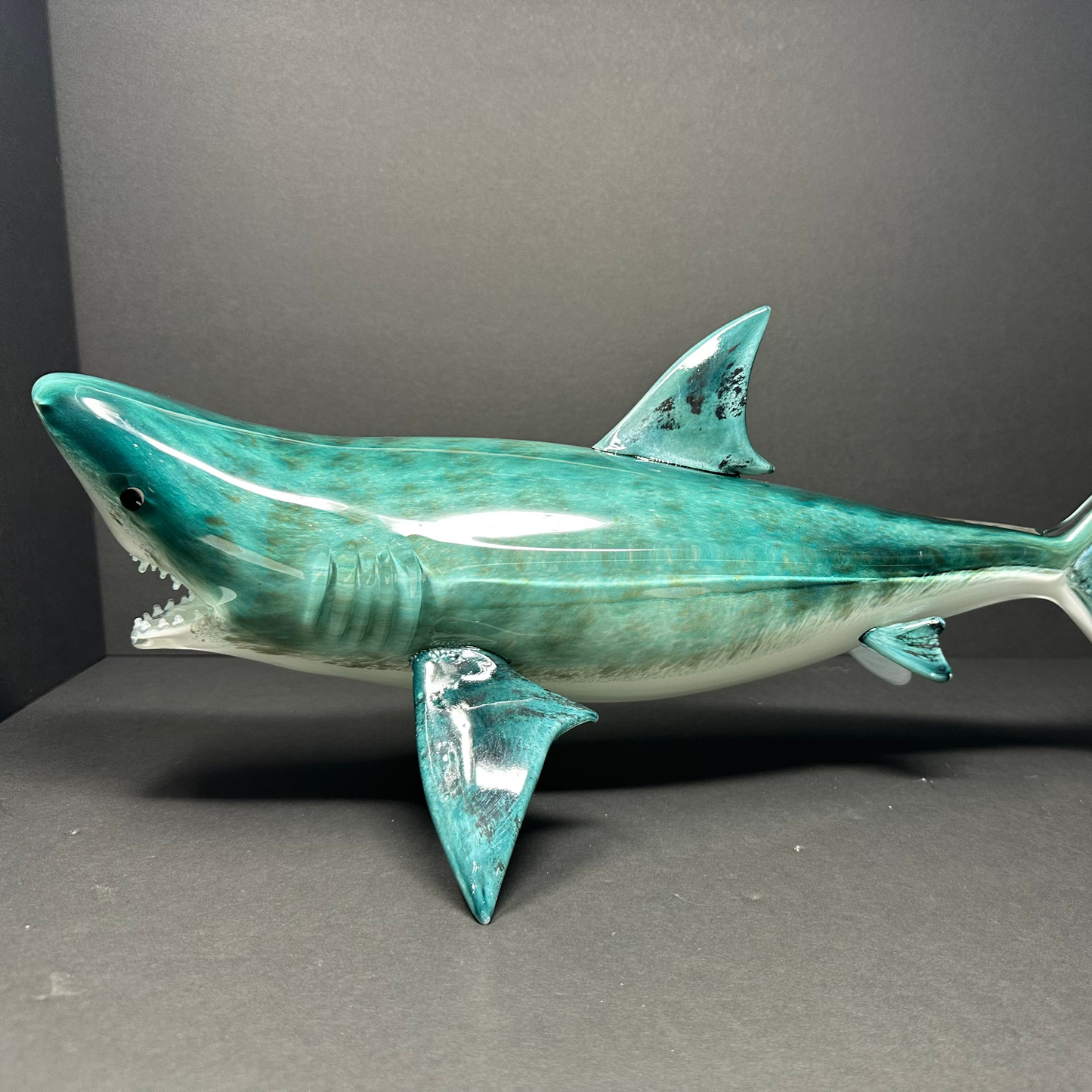 Tiger Shark