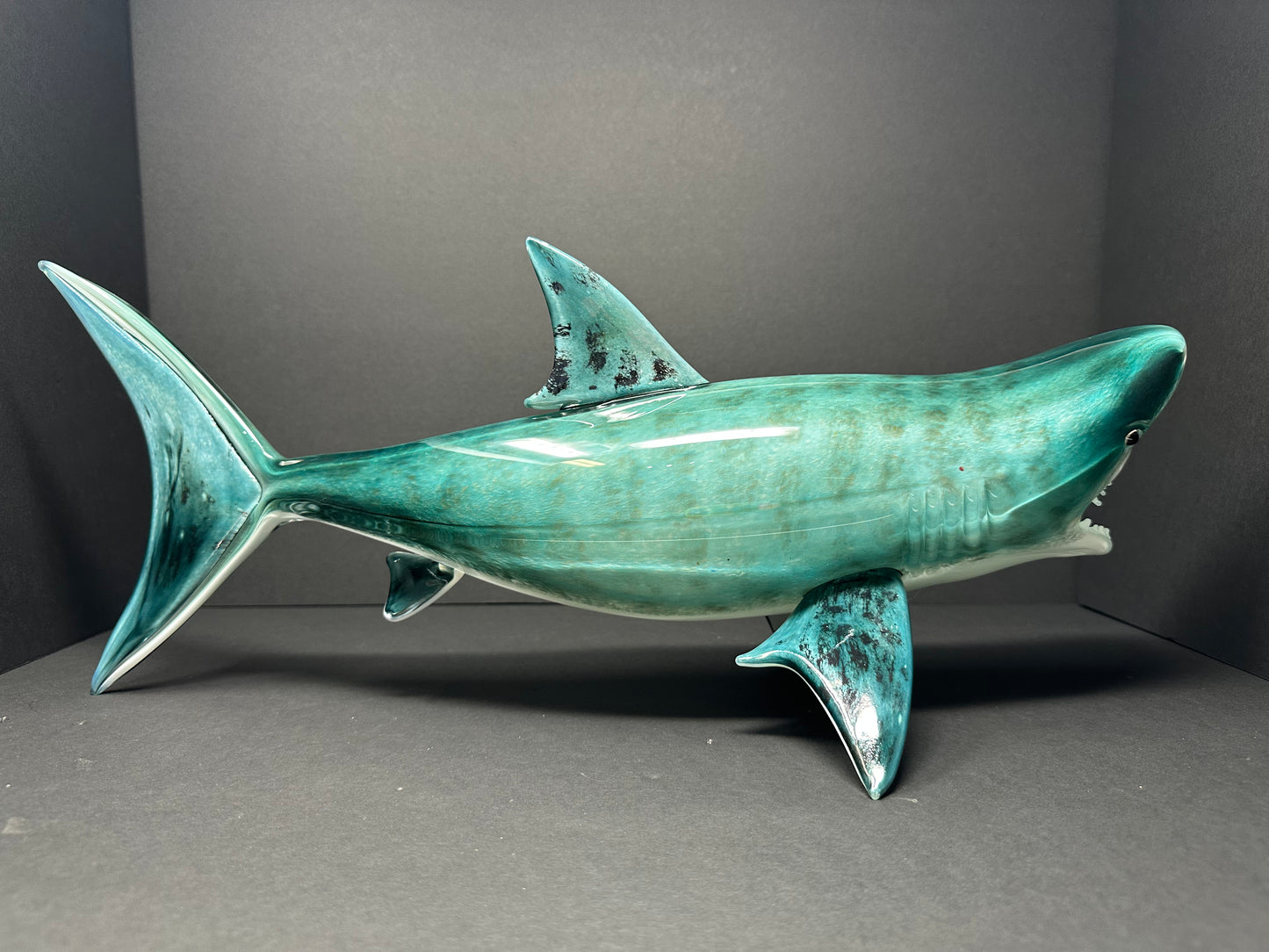 Tiger Shark