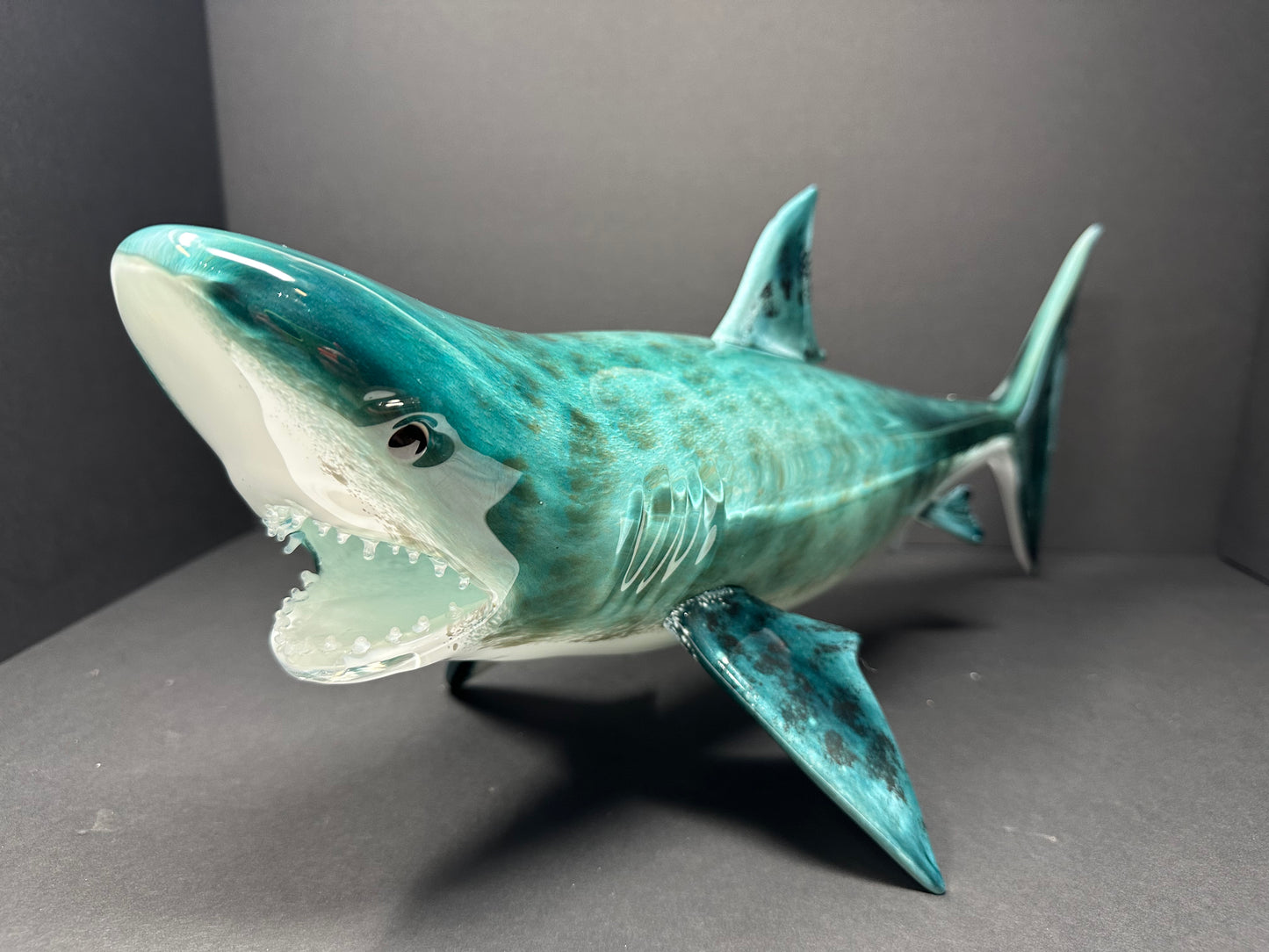 Tiger Shark