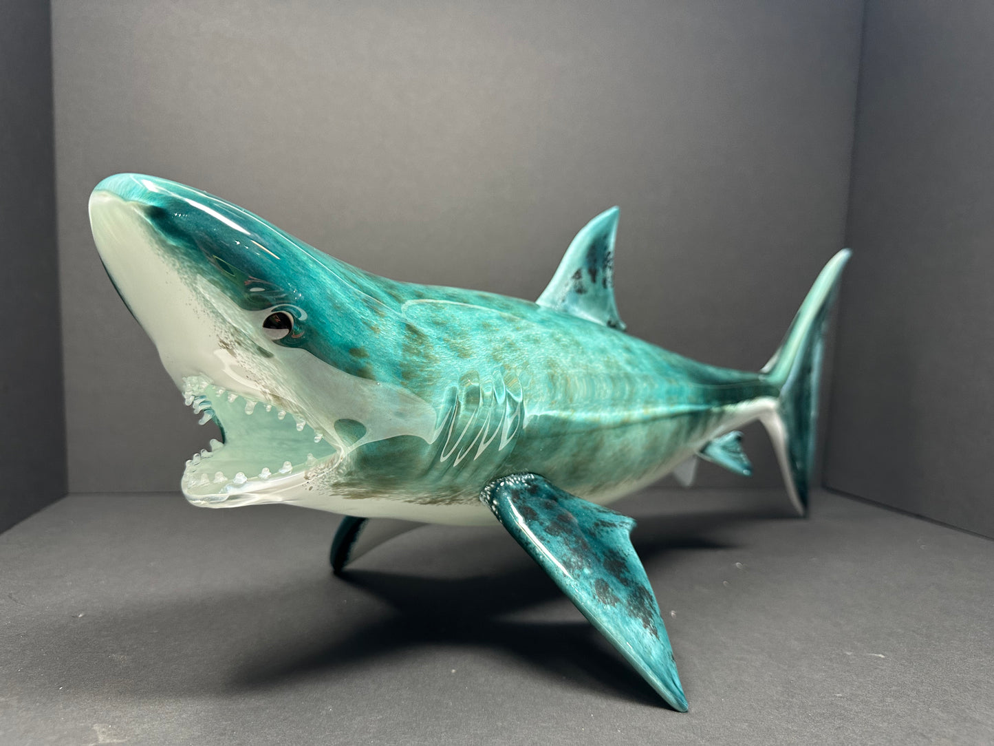 Tiger Shark