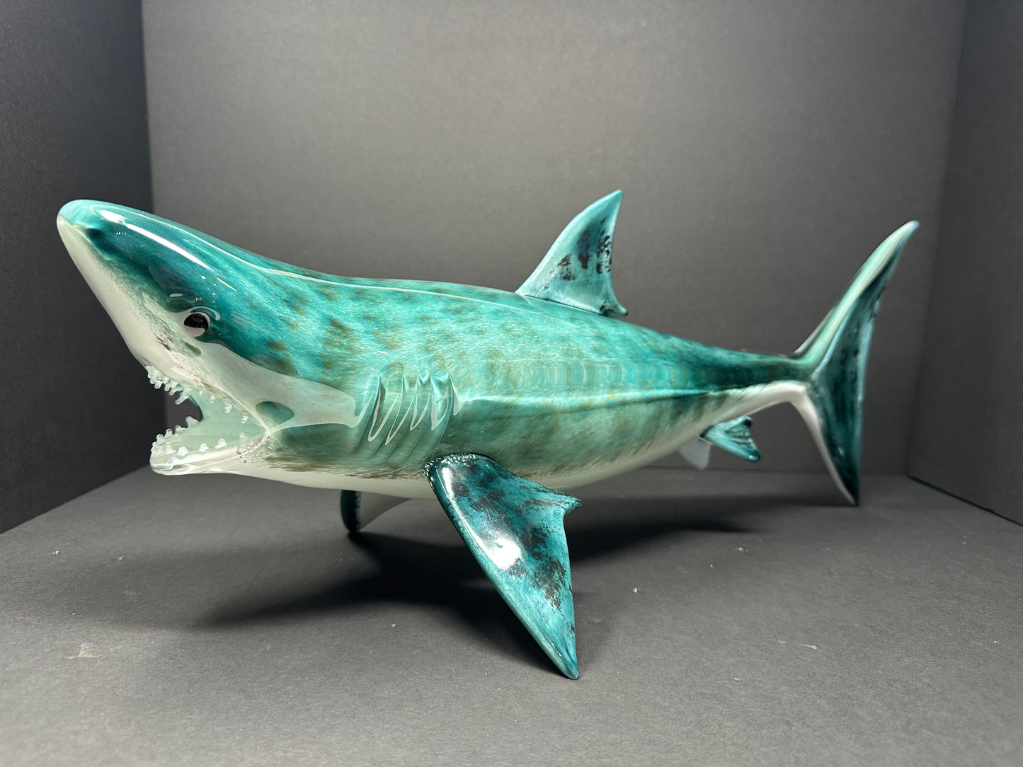 Tiger Shark