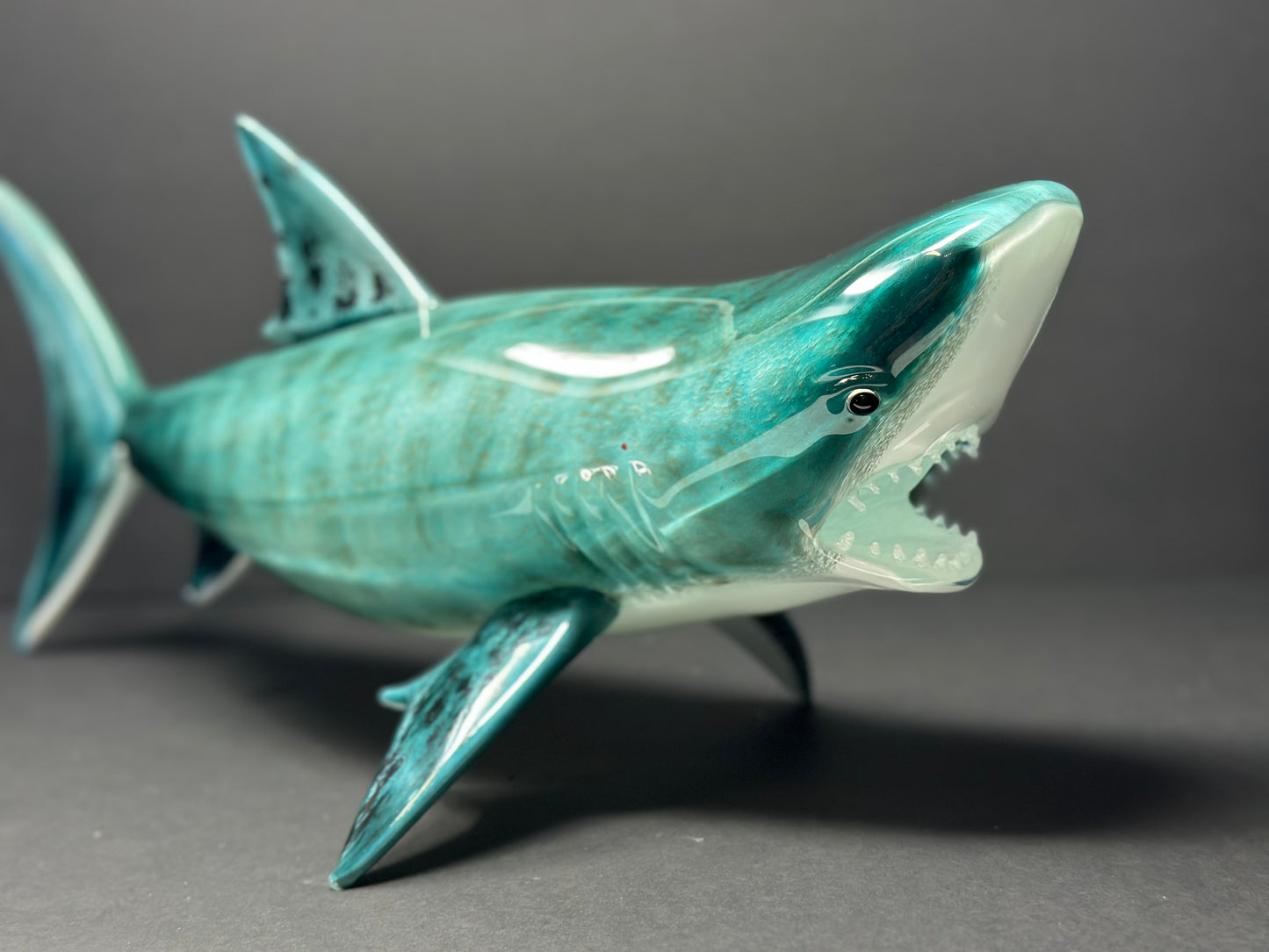 Tiger Shark