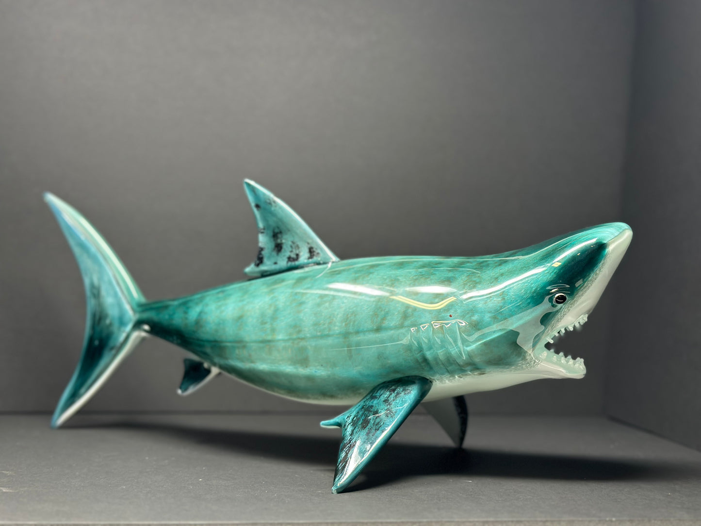 Tiger Shark