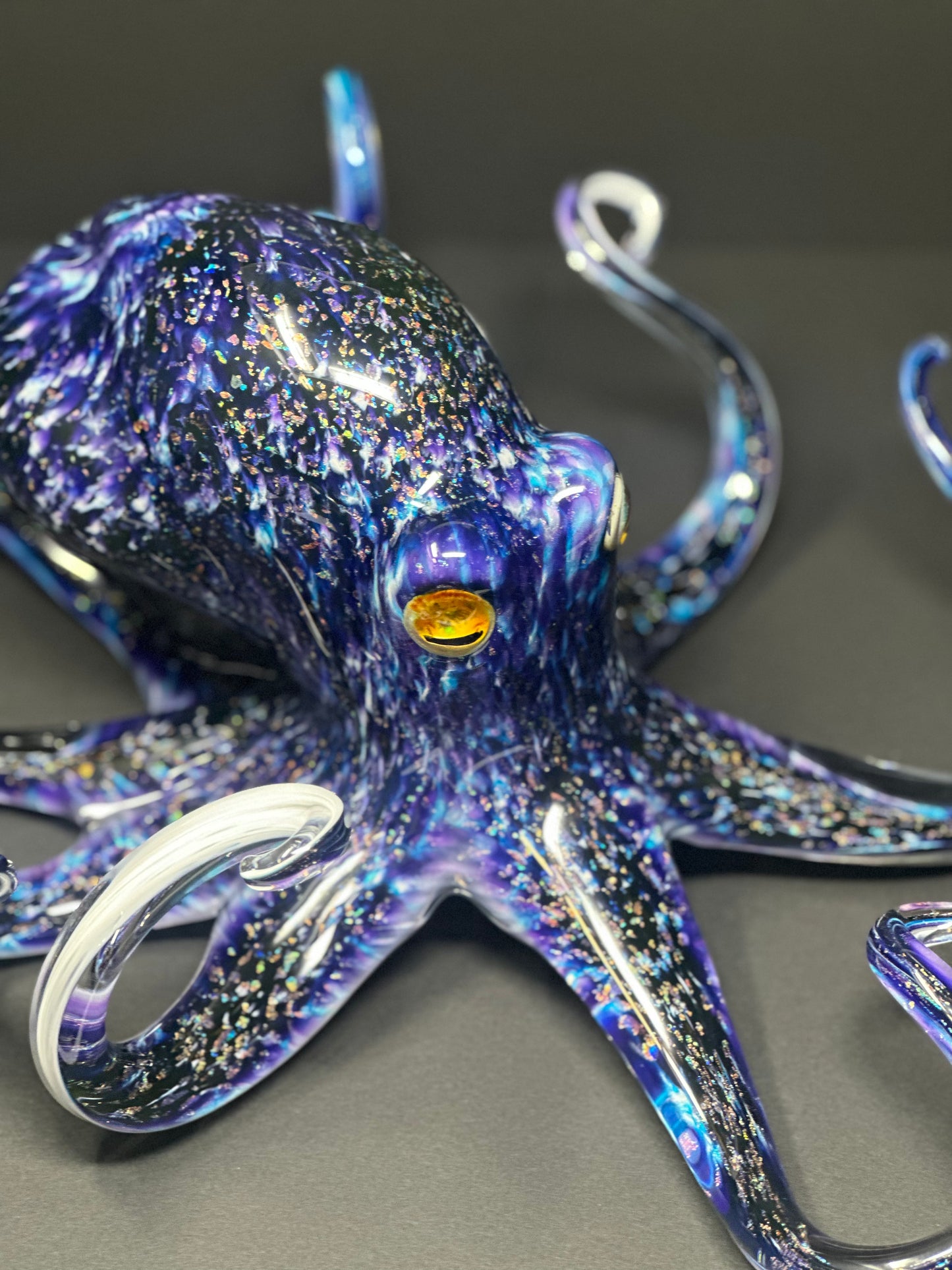 Twilight Octopus